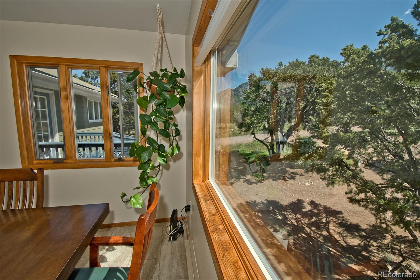 MLS Image #10 for 246  baca grant way,crestone, Colorado