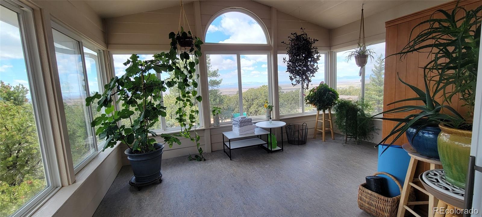 MLS Image #18 for 246  baca grant way,crestone, Colorado