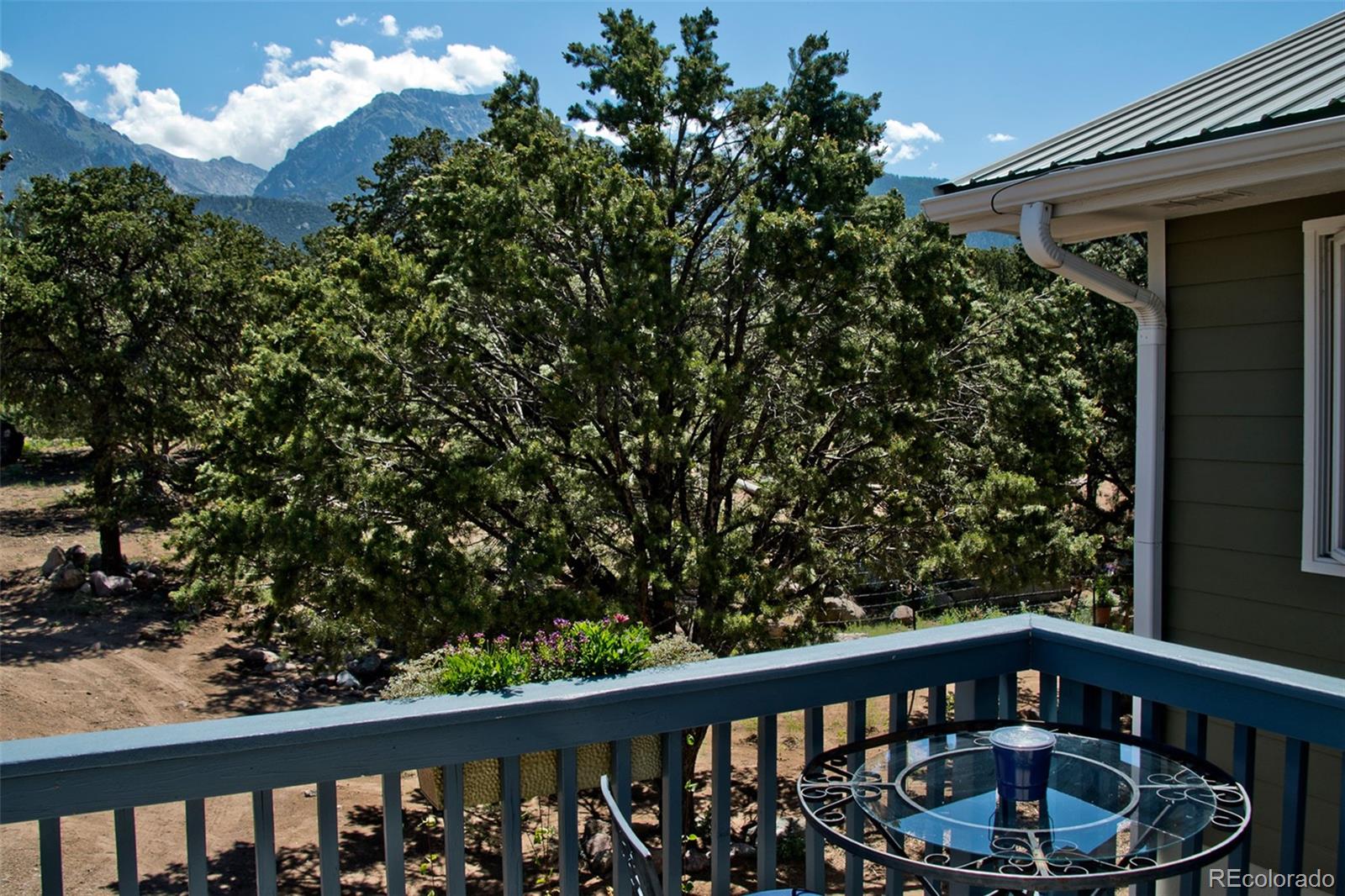 MLS Image #2 for 246  baca grant way,crestone, Colorado