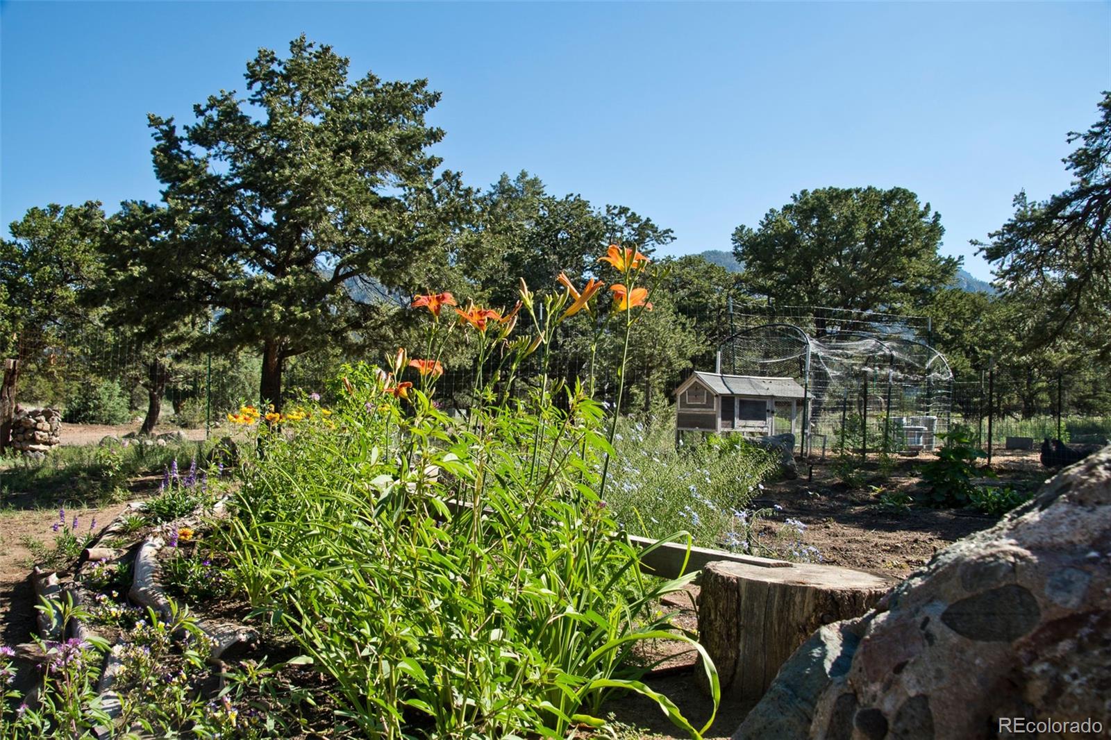 MLS Image #42 for 246  baca grant way,crestone, Colorado
