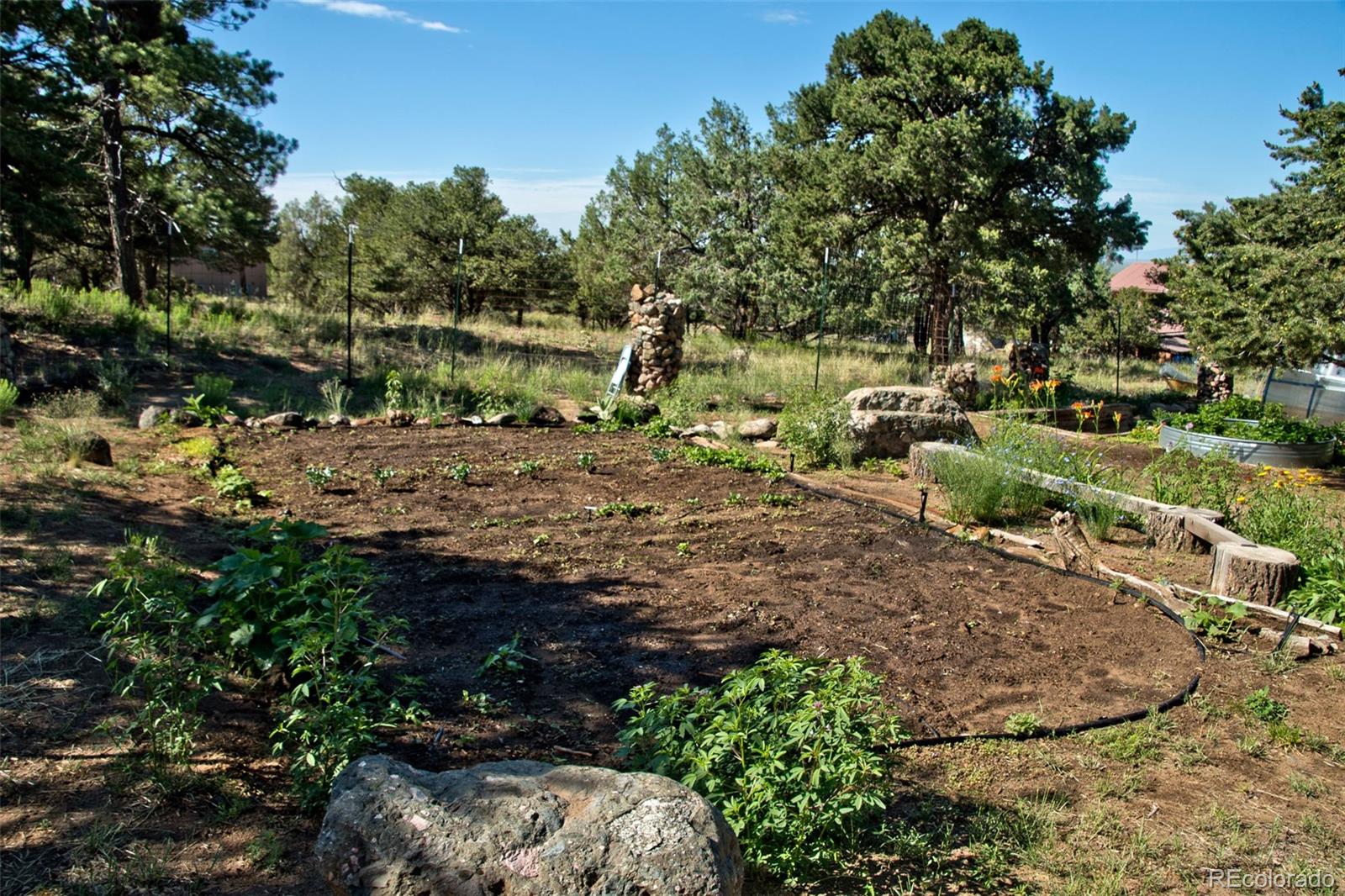 MLS Image #43 for 246  baca grant way,crestone, Colorado