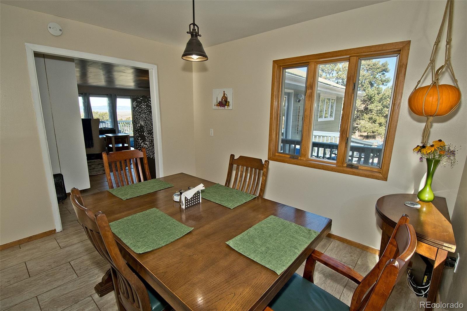 MLS Image #9 for 246  baca grant way,crestone, Colorado
