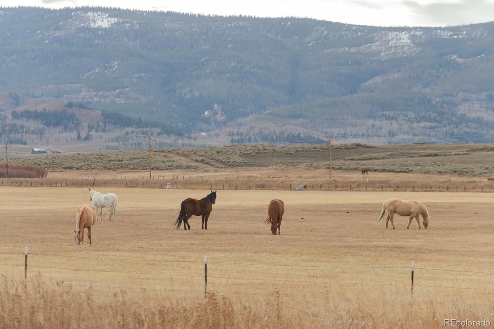 MLS Image #2 for 164  village road,granby, Colorado