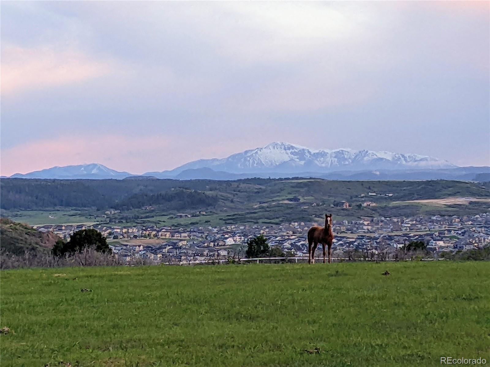 MLS Image #38 for 3791  castle vista drive,castle rock, Colorado