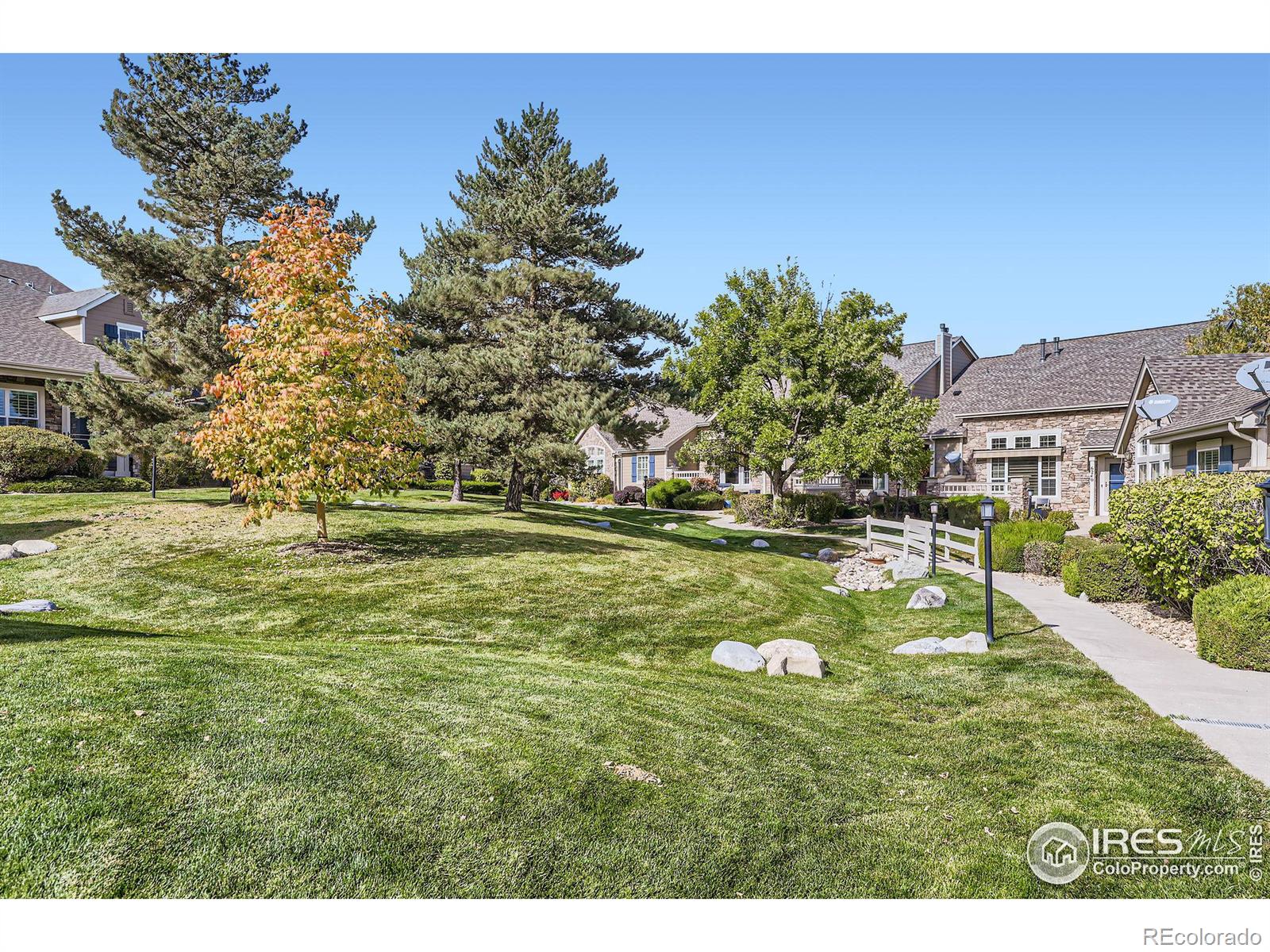 MLS Image #27 for 6220  salvia street,arvada, Colorado