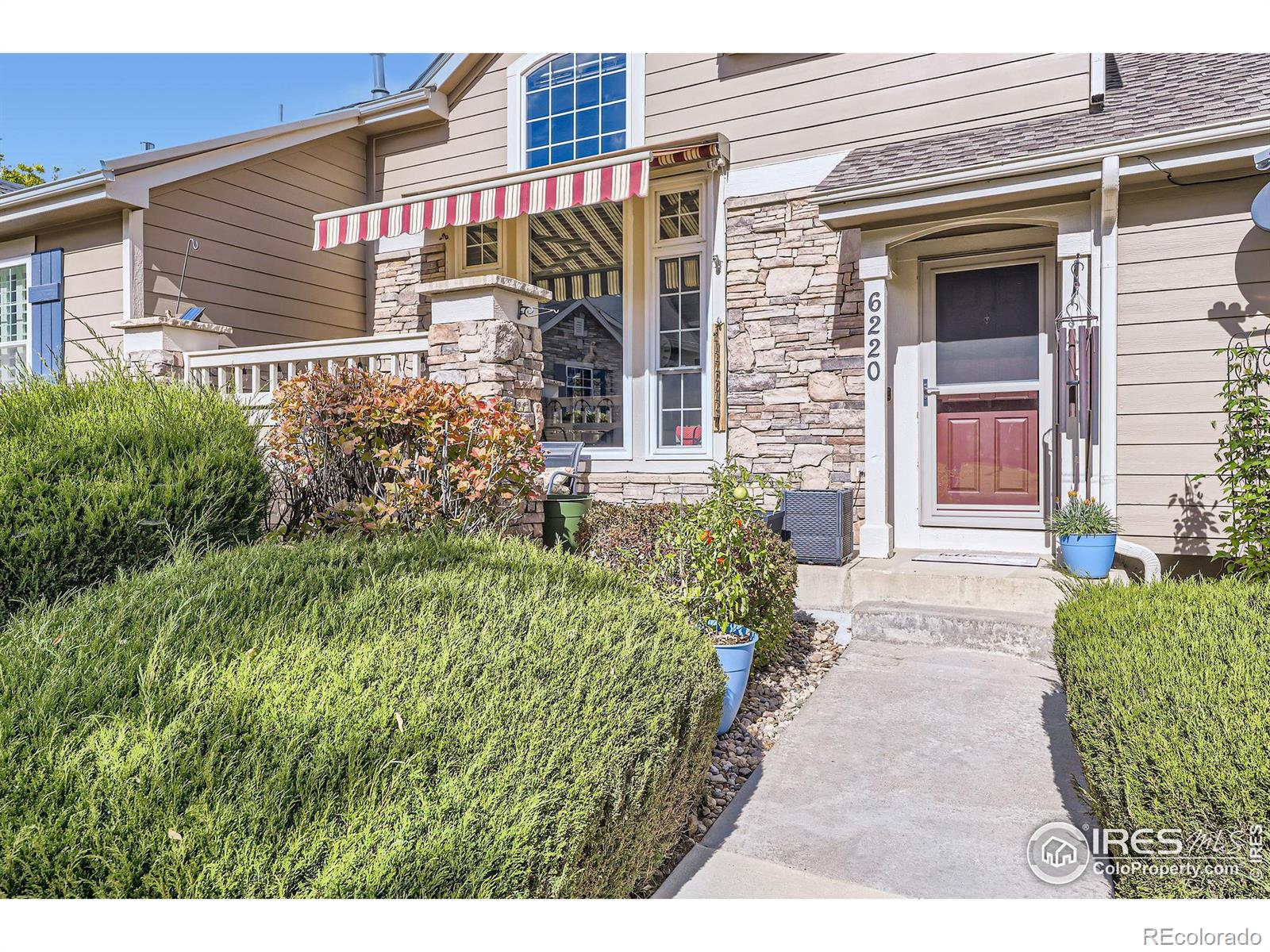 MLS Image #3 for 6220  salvia street,arvada, Colorado