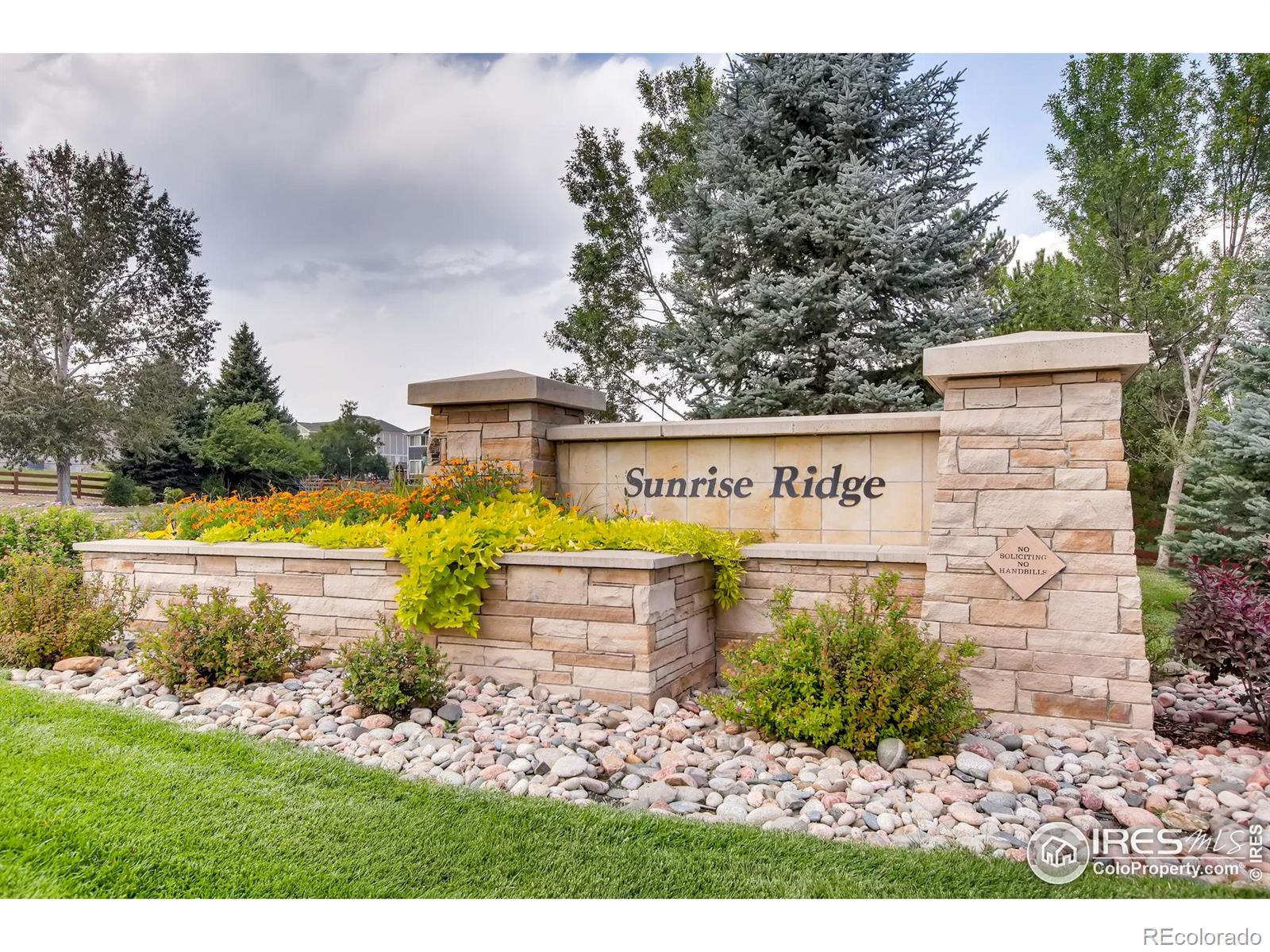 MLS Image #37 for 6220  salvia street,arvada, Colorado