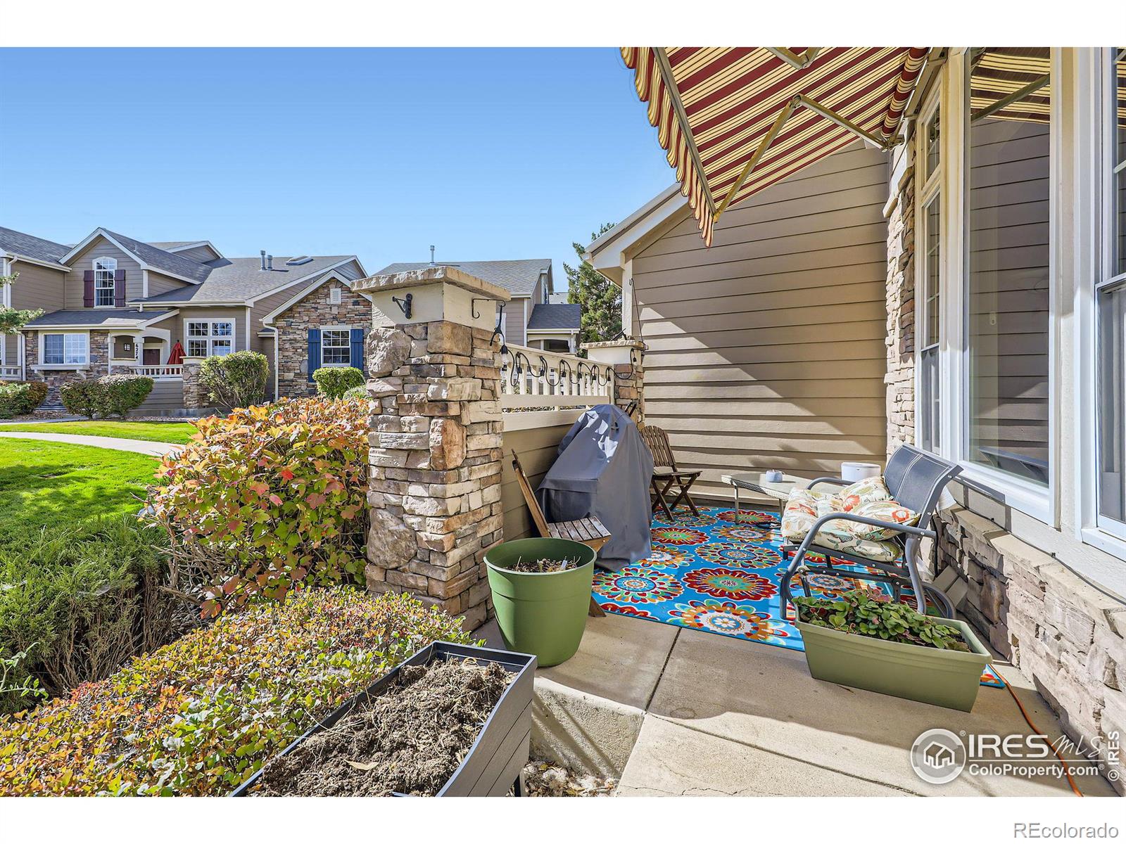 MLS Image #4 for 6220  salvia street,arvada, Colorado