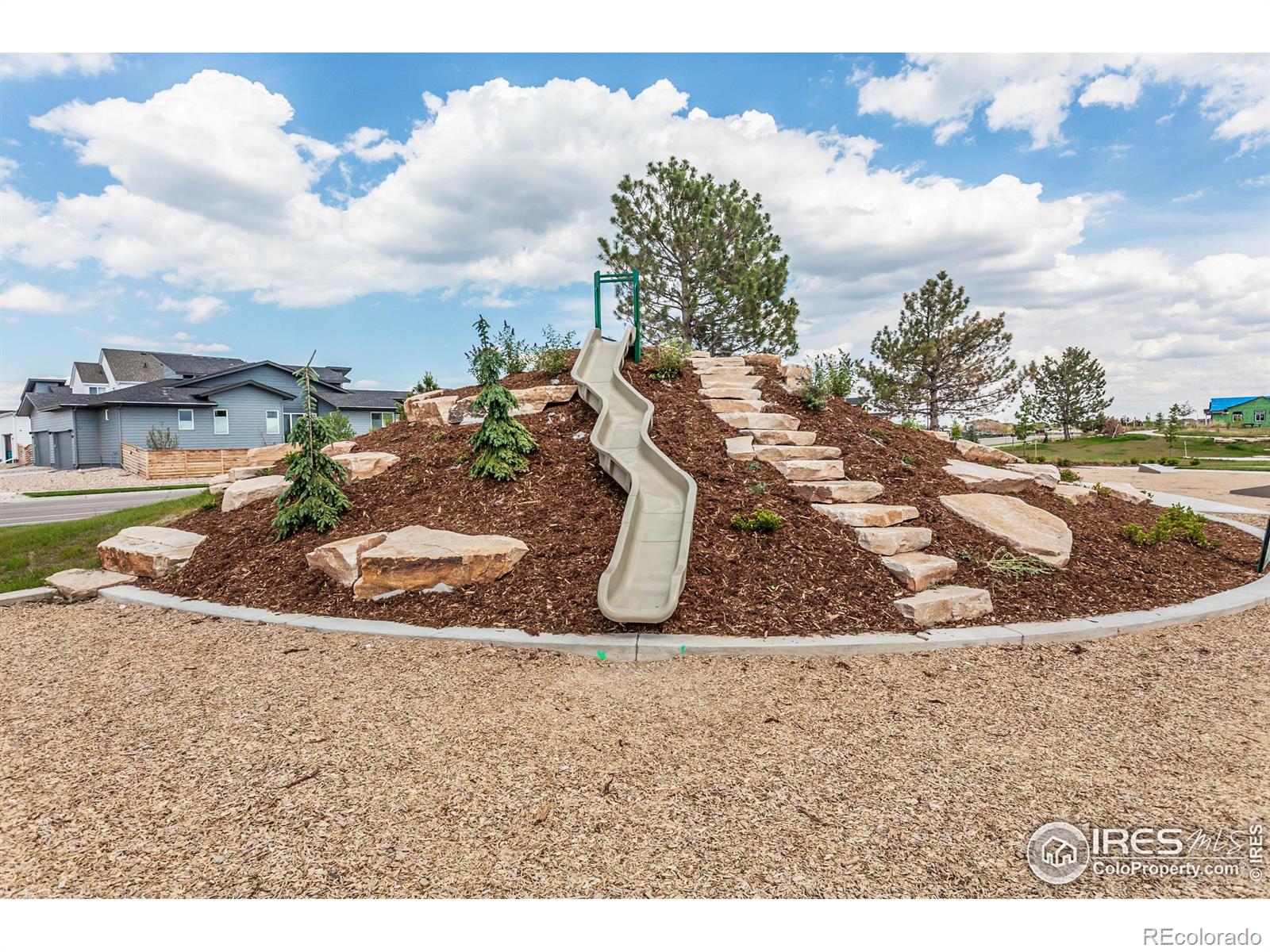 MLS Image #29 for 6013  saddle horn drive,timnath, Colorado