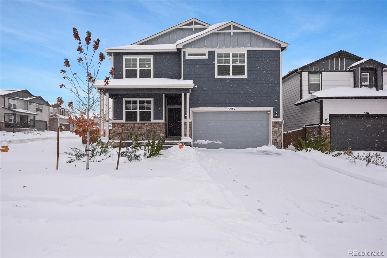 CMA Image for 3803  Sandy Vista Trail,Castle Rock, Colorado