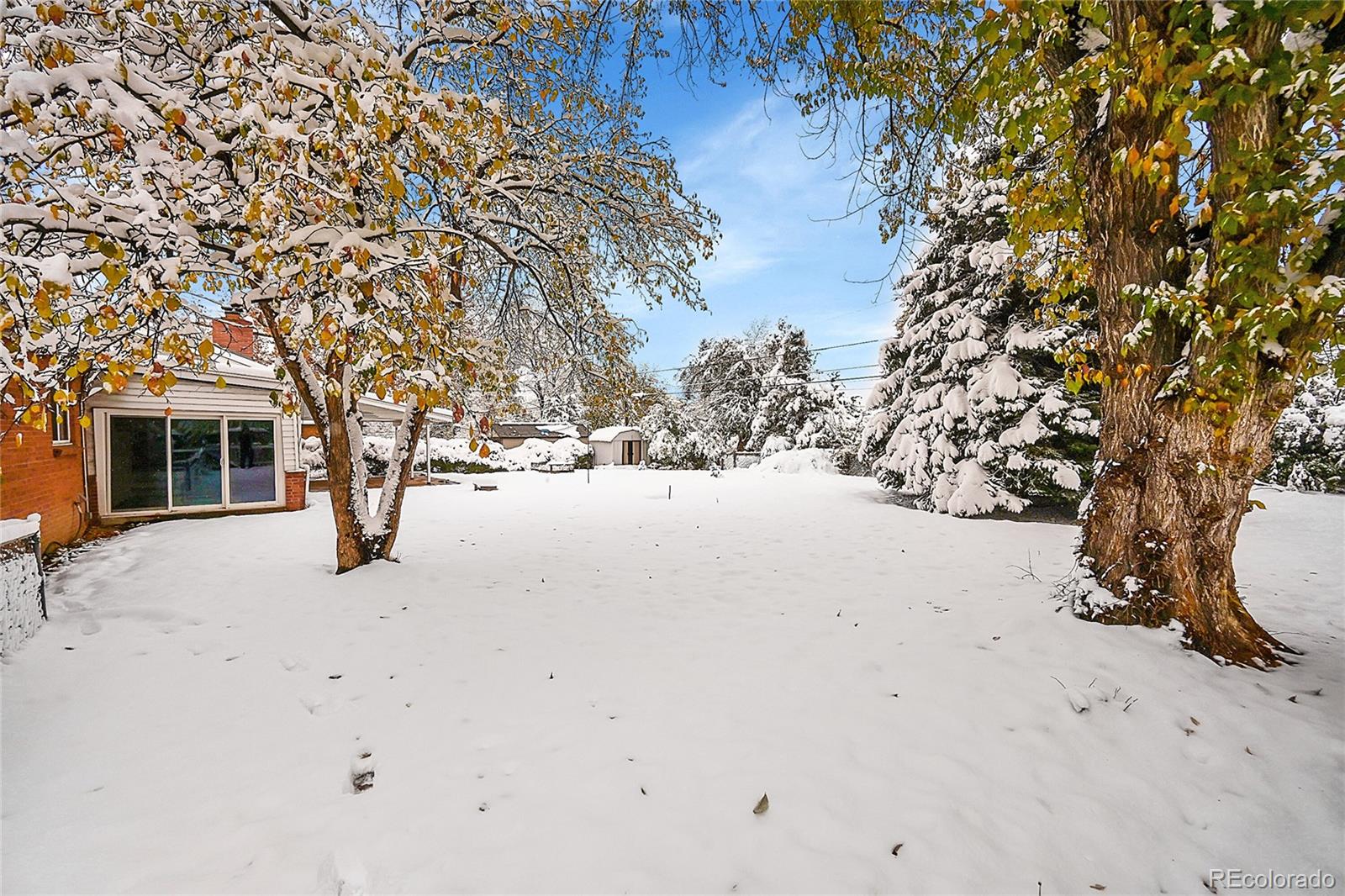 MLS Image #26 for 80  zephyr street,lakewood, Colorado