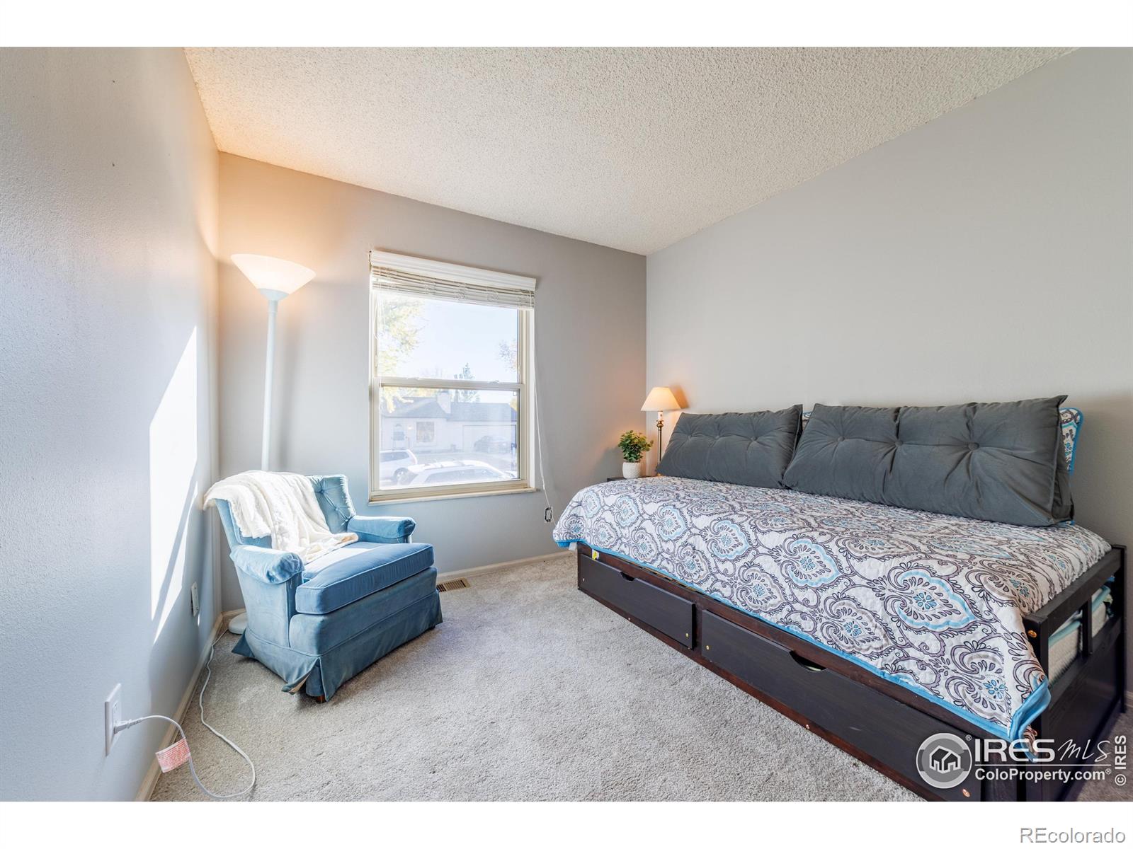 MLS Image #15 for 1609  cedar street,broomfield, Colorado