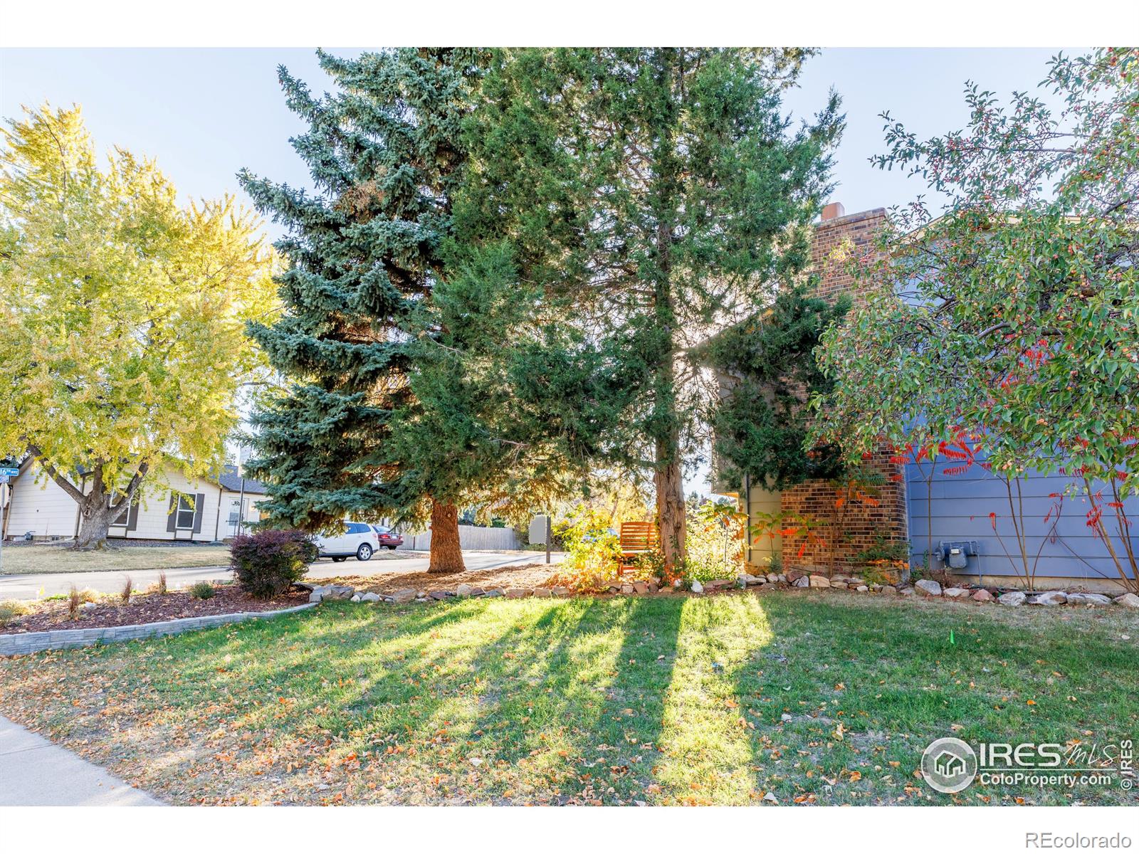 MLS Image #29 for 1609  cedar street,broomfield, Colorado