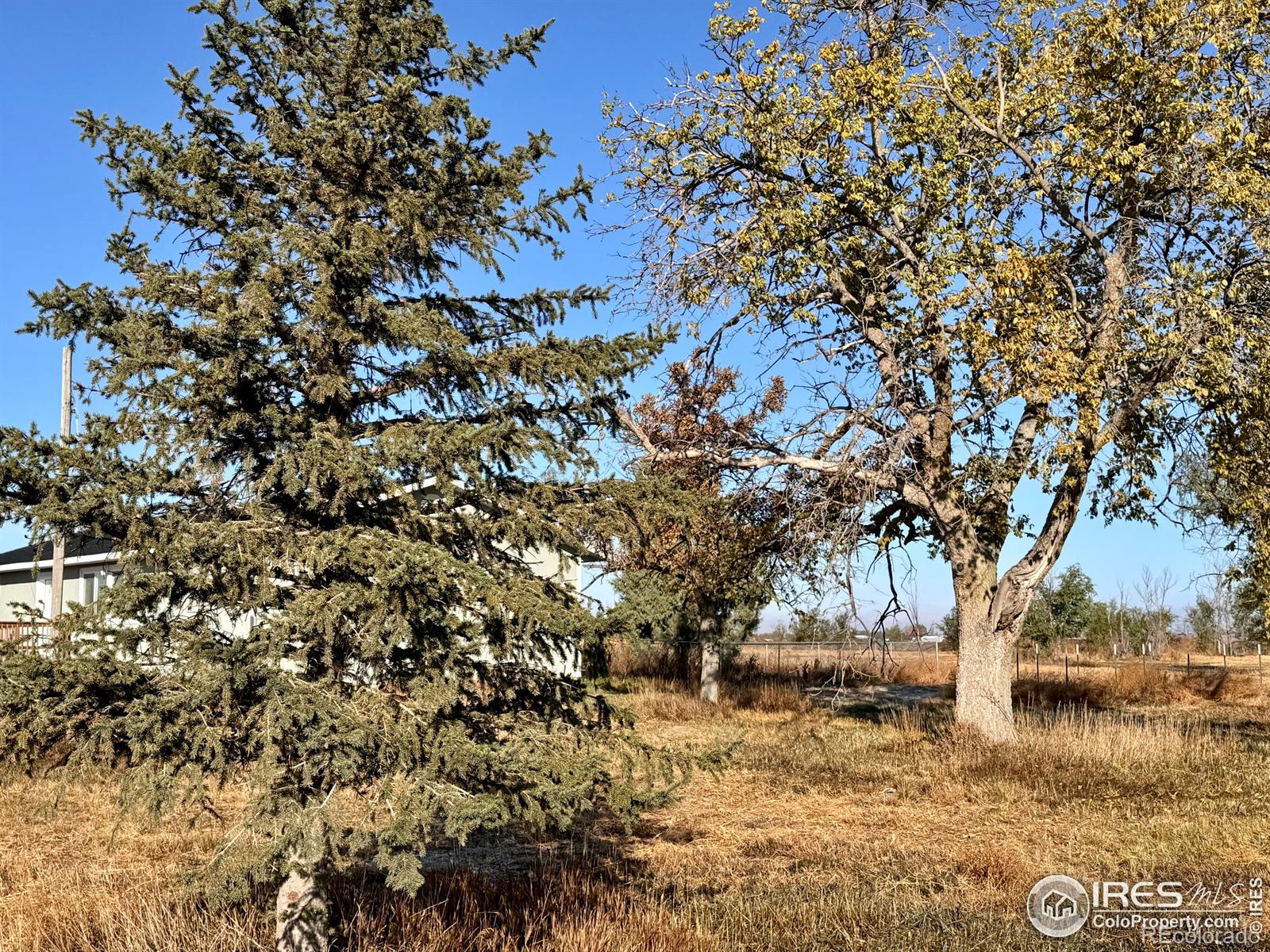 MLS Image #2 for 15581  county road 83 ,fleming, Colorado