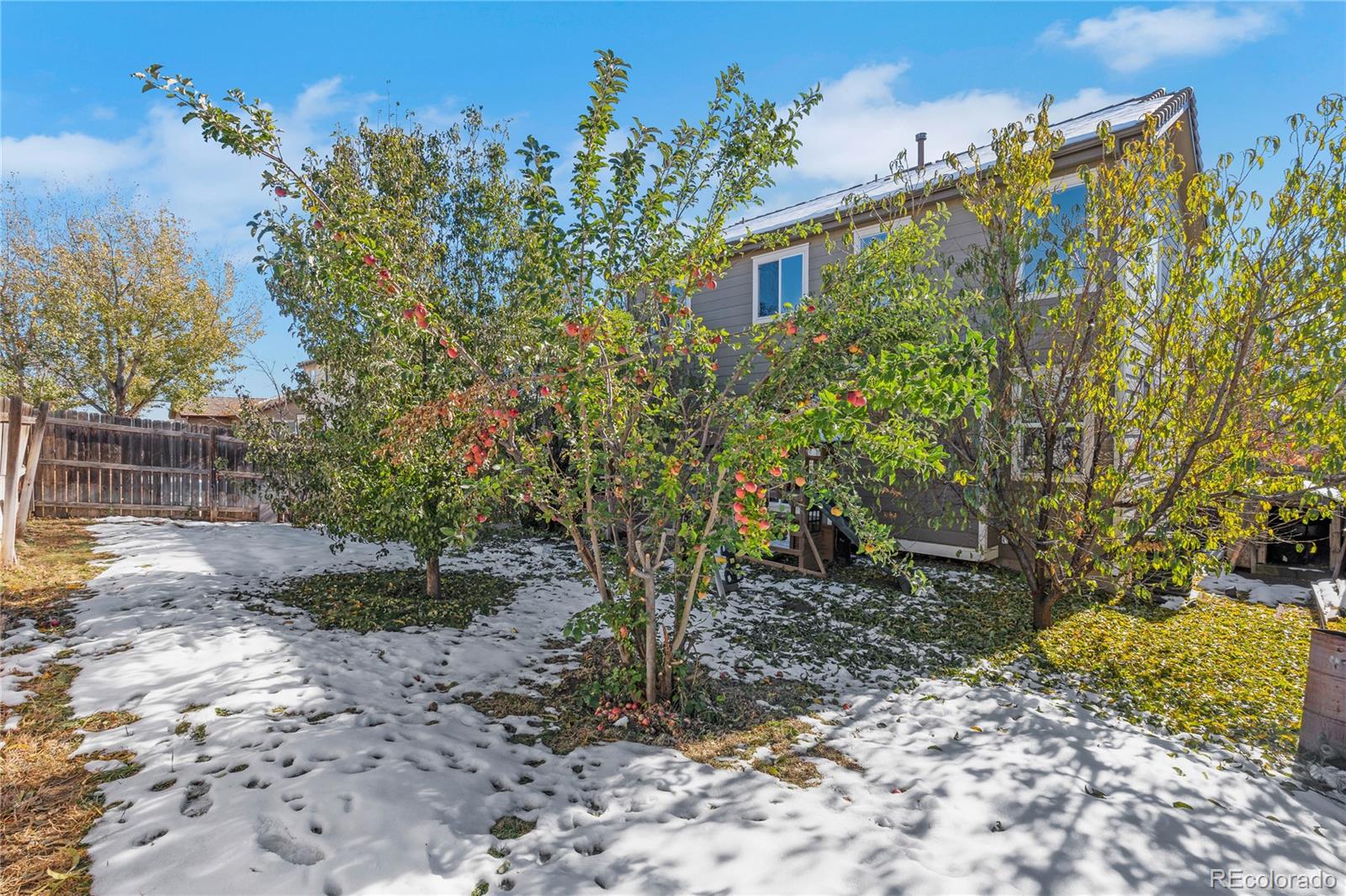 MLS Image #24 for 14449 e 101st place,commerce city, Colorado