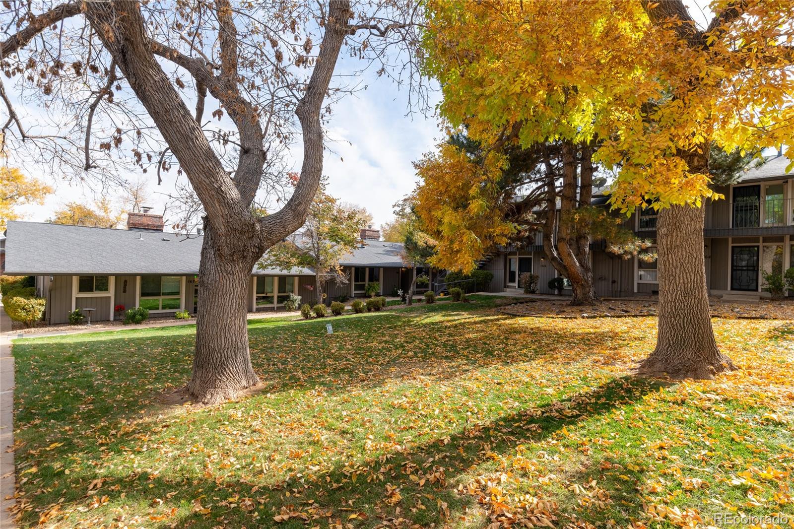 MLS Image #1 for 6495 e happy canyon road,denver, Colorado