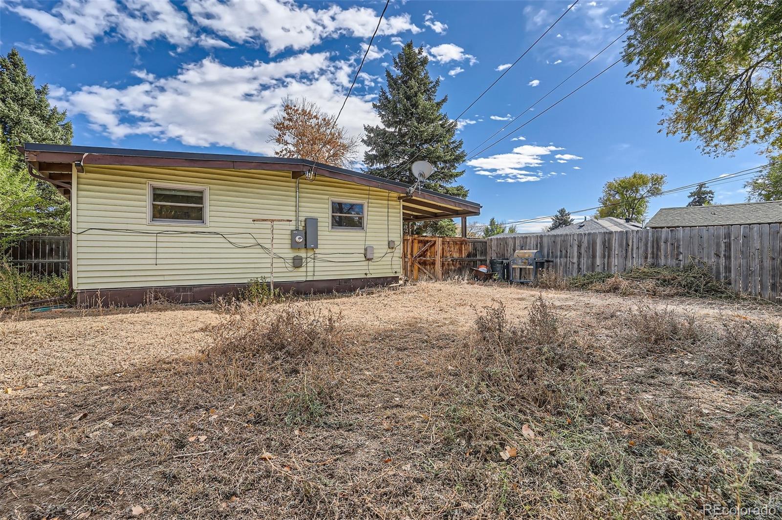 MLS Image #14 for 447  raleigh street,denver, Colorado