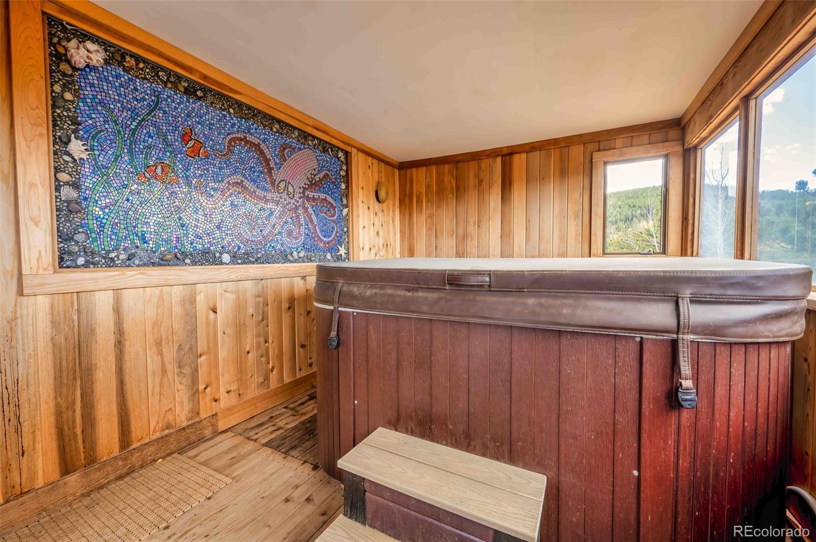 MLS Image #41 for 45  alpine drive,nederland, Colorado