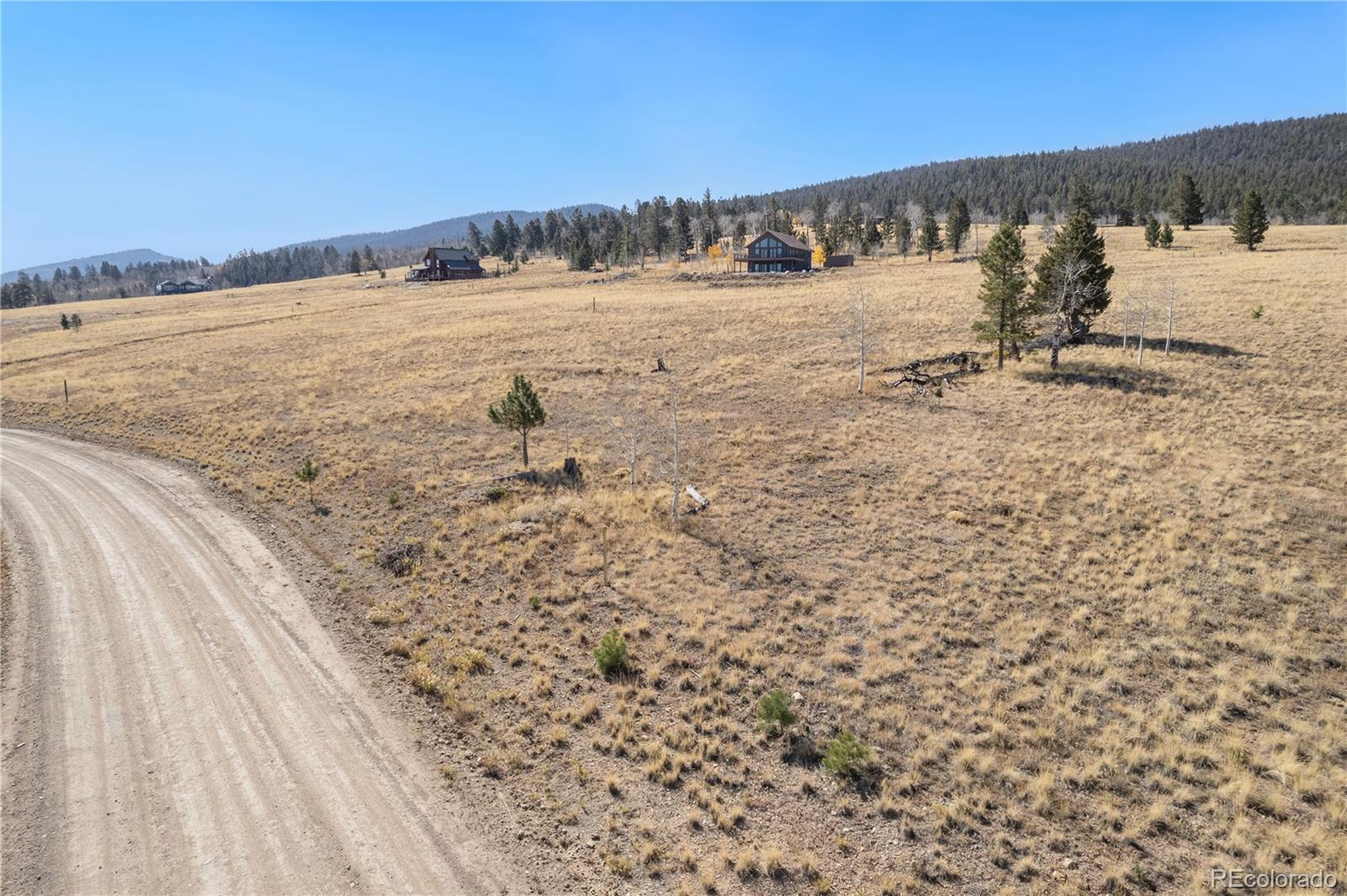 MLS Image #10 for 1505  pitchfork road,hartsel, Colorado