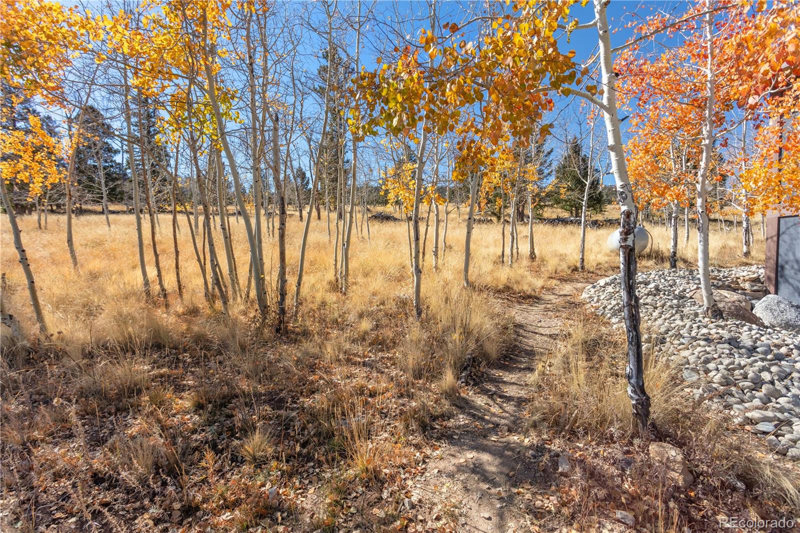 MLS Image #9 for 1505  pitchfork road,hartsel, Colorado