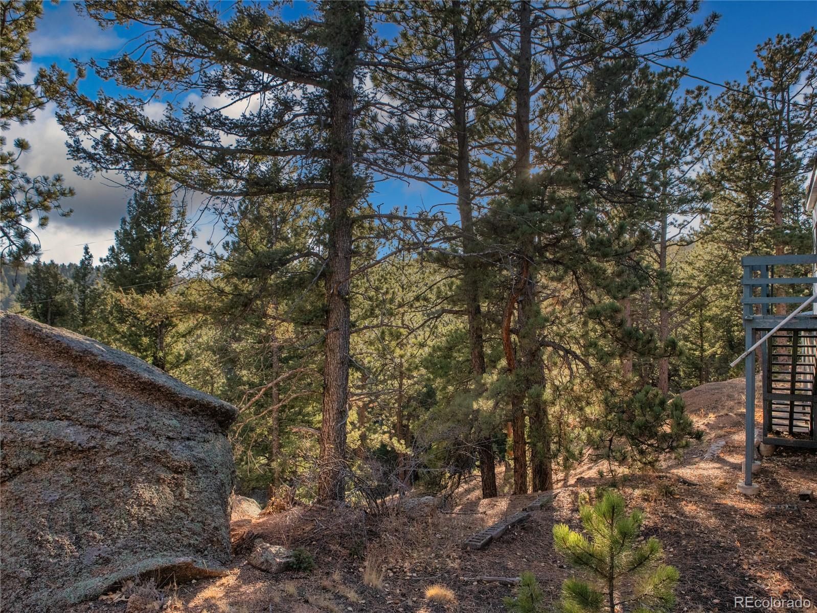 MLS Image #3 for 916  pinecrest road,woodland park, Colorado