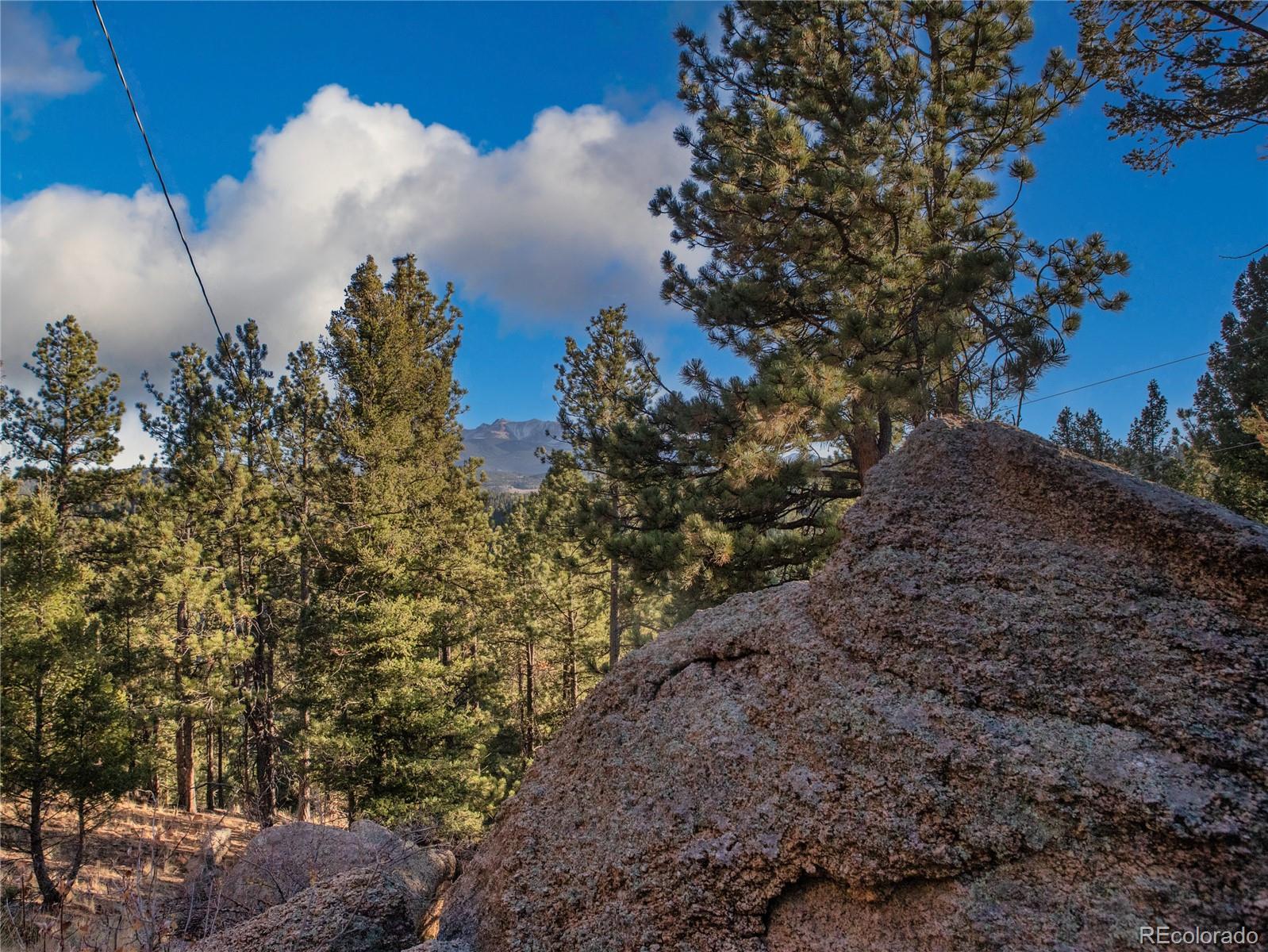 MLS Image #4 for 916  pinecrest road,woodland park, Colorado