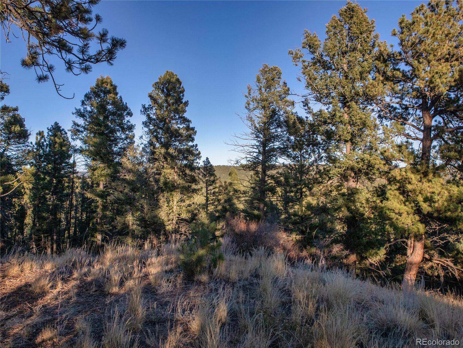 MLS Image #7 for 916  pinecrest road,woodland park, Colorado