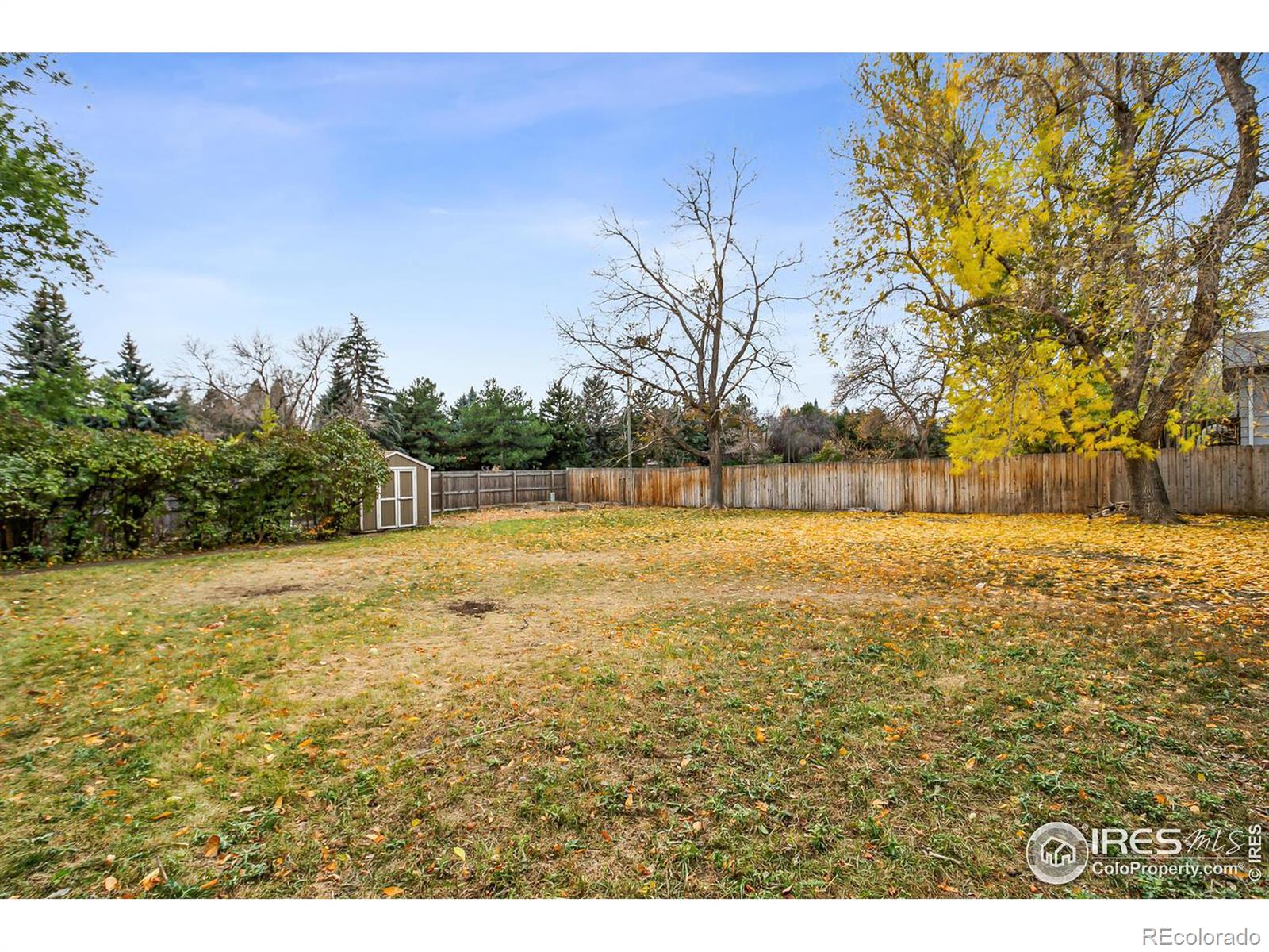 MLS Image #27 for 931  kingston drive,fort collins, Colorado