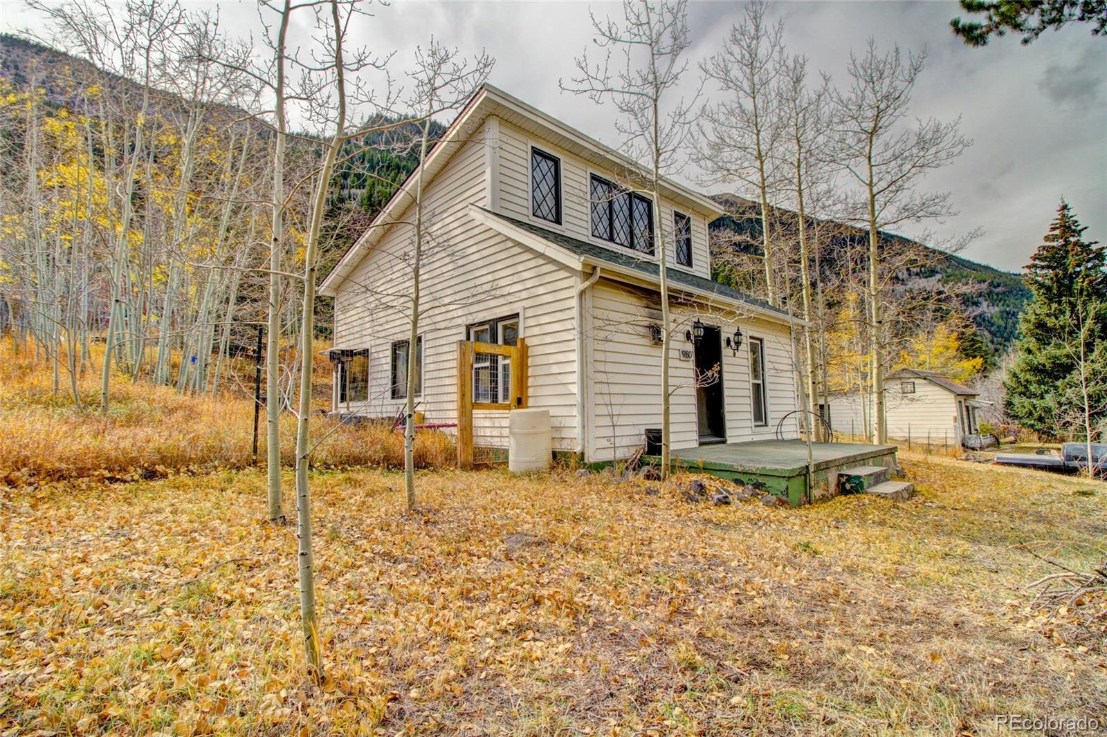 MLS Image #0 for 980  mountain street,silver plume, Colorado