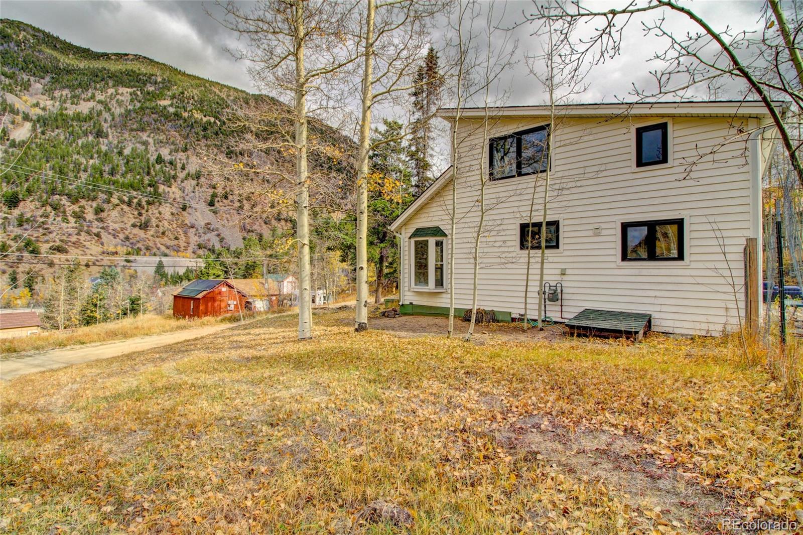 MLS Image #18 for 980  mountain street,silver plume, Colorado