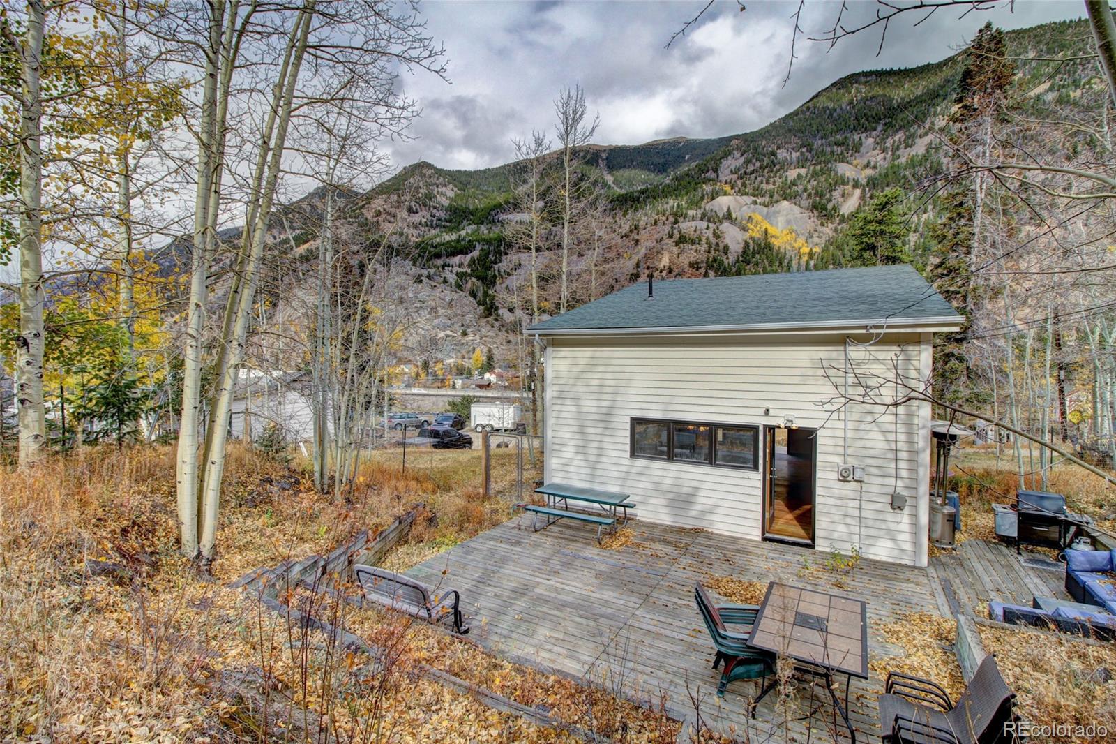 MLS Image #2 for 980  mountain street,silver plume, Colorado