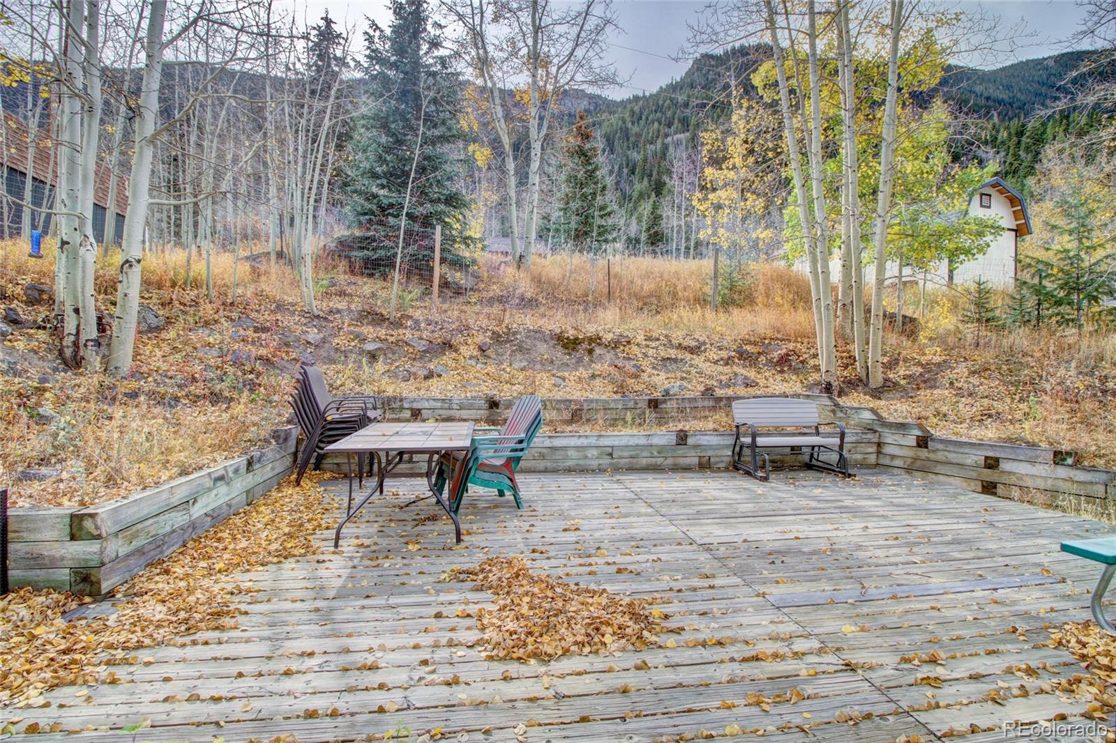 MLS Image #20 for 980  mountain street,silver plume, Colorado