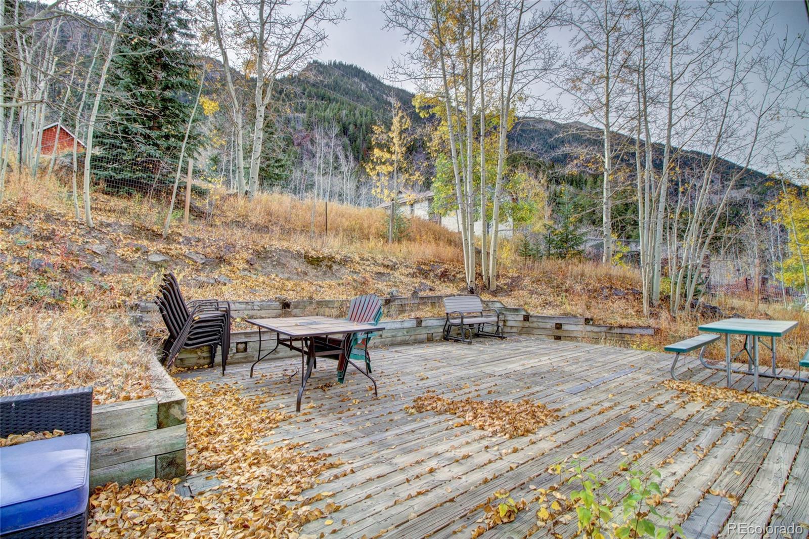 MLS Image #21 for 980  mountain street,silver plume, Colorado