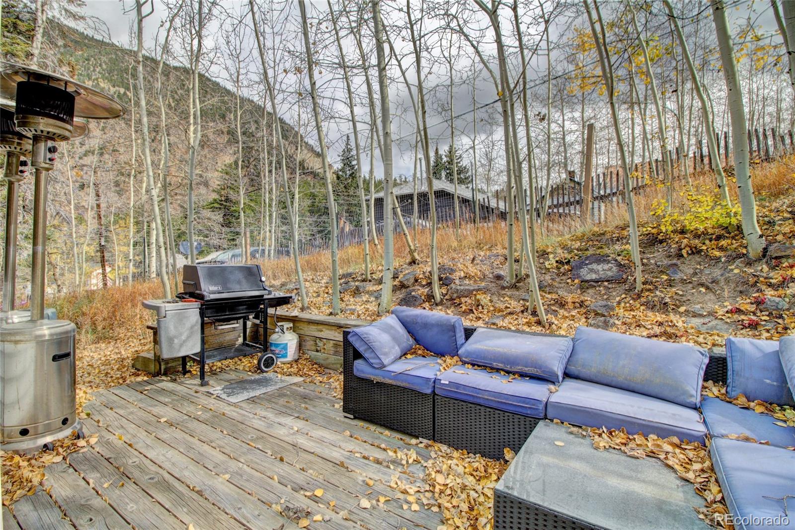 MLS Image #24 for 980  mountain street,silver plume, Colorado