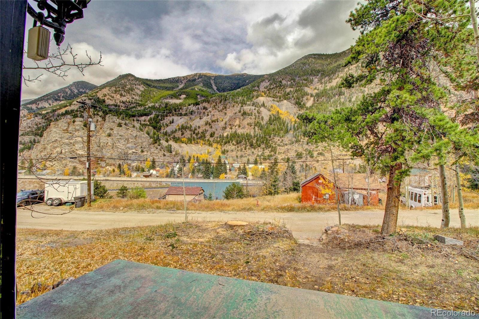 MLS Image #25 for 980  mountain street,silver plume, Colorado