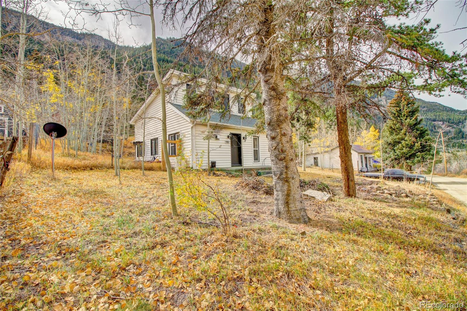 MLS Image #26 for 980  mountain street,silver plume, Colorado