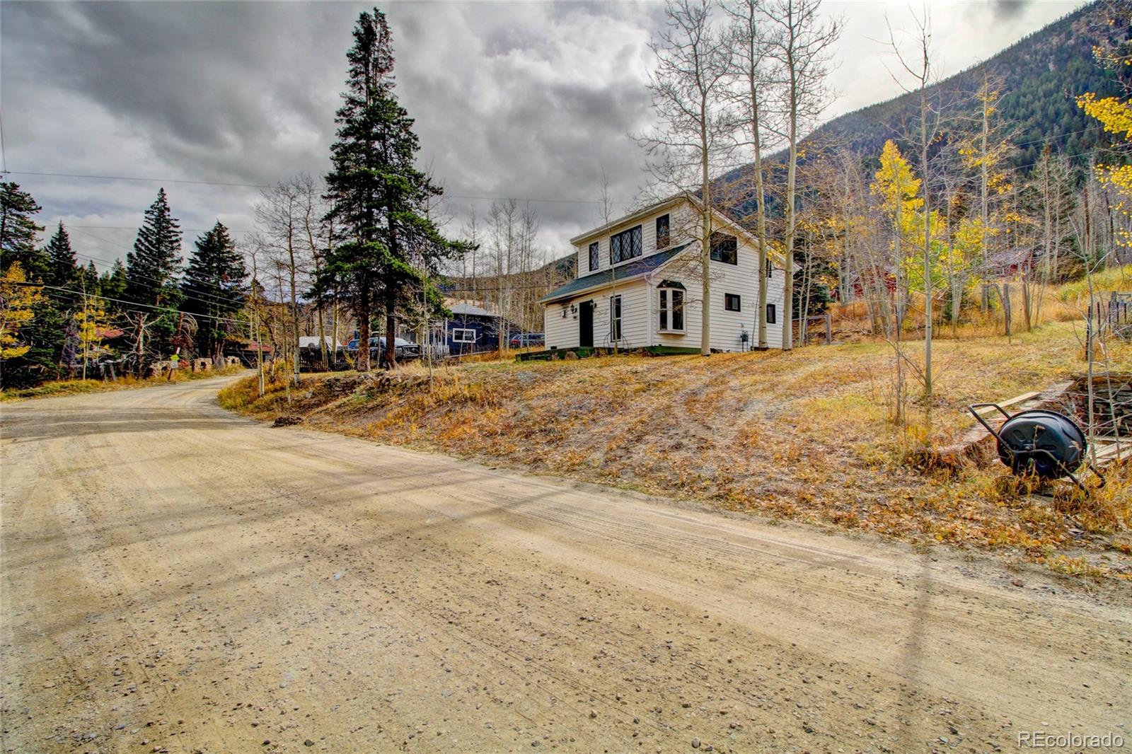 MLS Image #3 for 980  mountain street,silver plume, Colorado