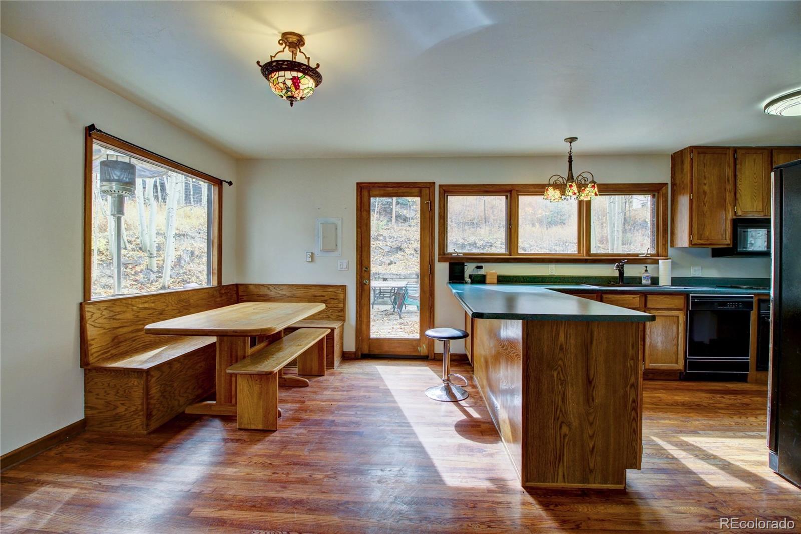 MLS Image #8 for 980  mountain street,silver plume, Colorado