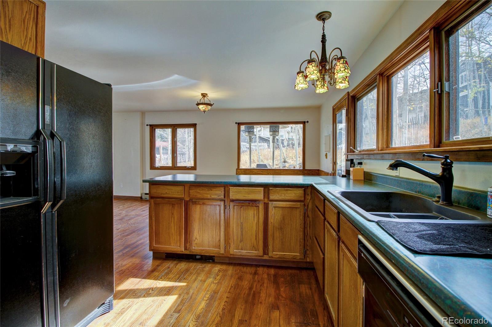 MLS Image #9 for 980  mountain street,silver plume, Colorado