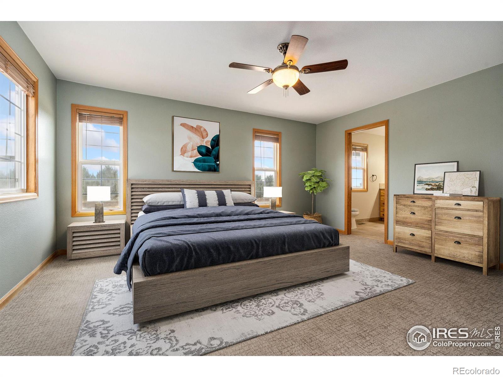 MLS Image #7 for 29720  county road 78 ,eaton, Colorado