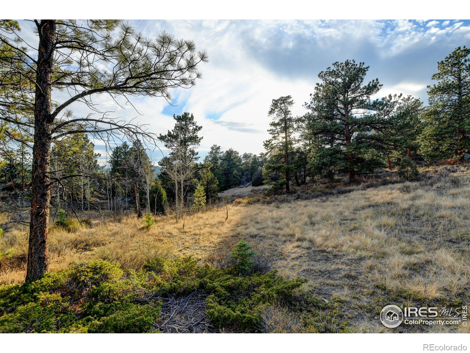 MLS Image #32 for 86  sky kiva circle,red feather lakes, Colorado