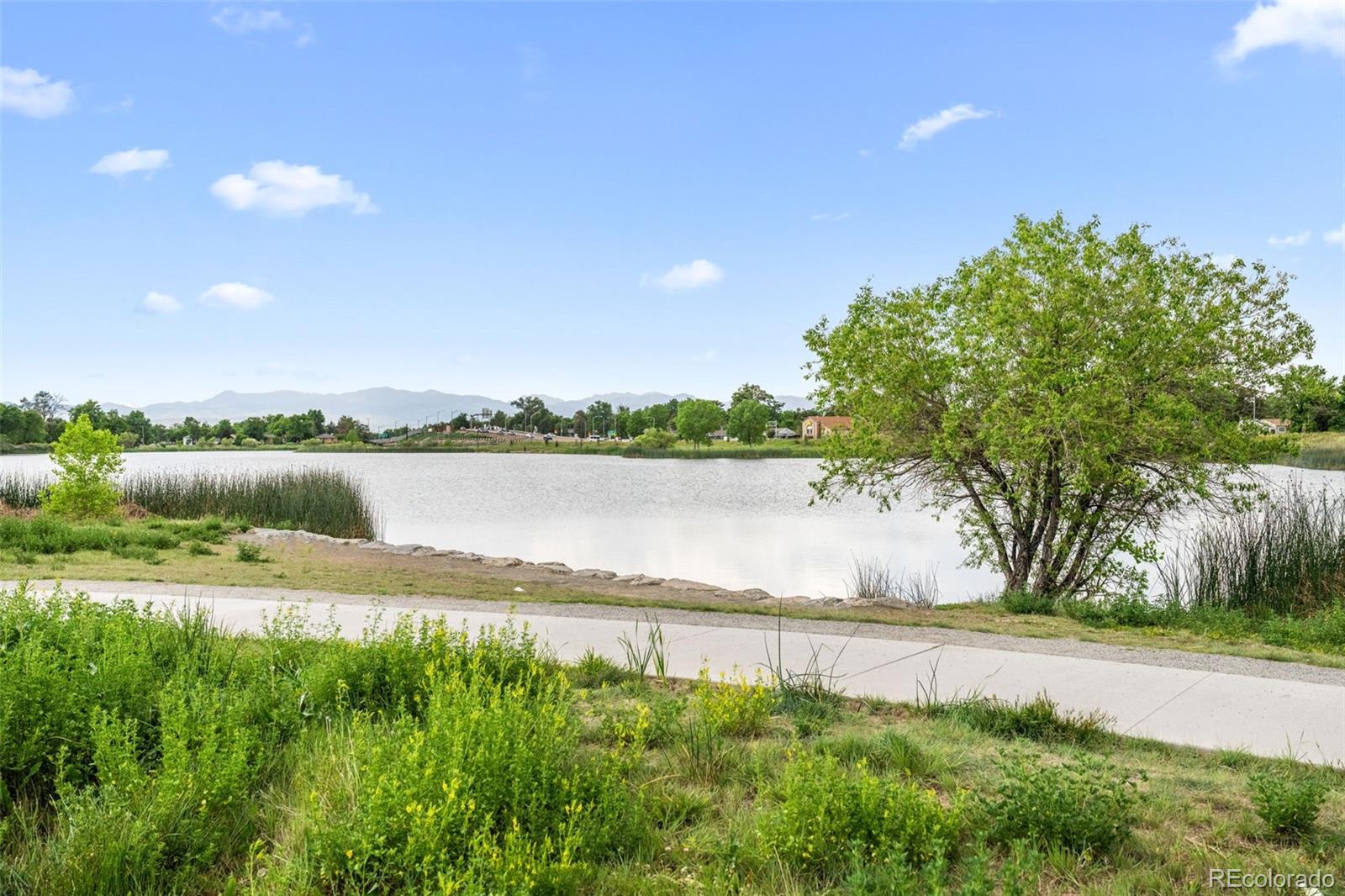 MLS Image #27 for 3047 w 47th avenue,denver, Colorado