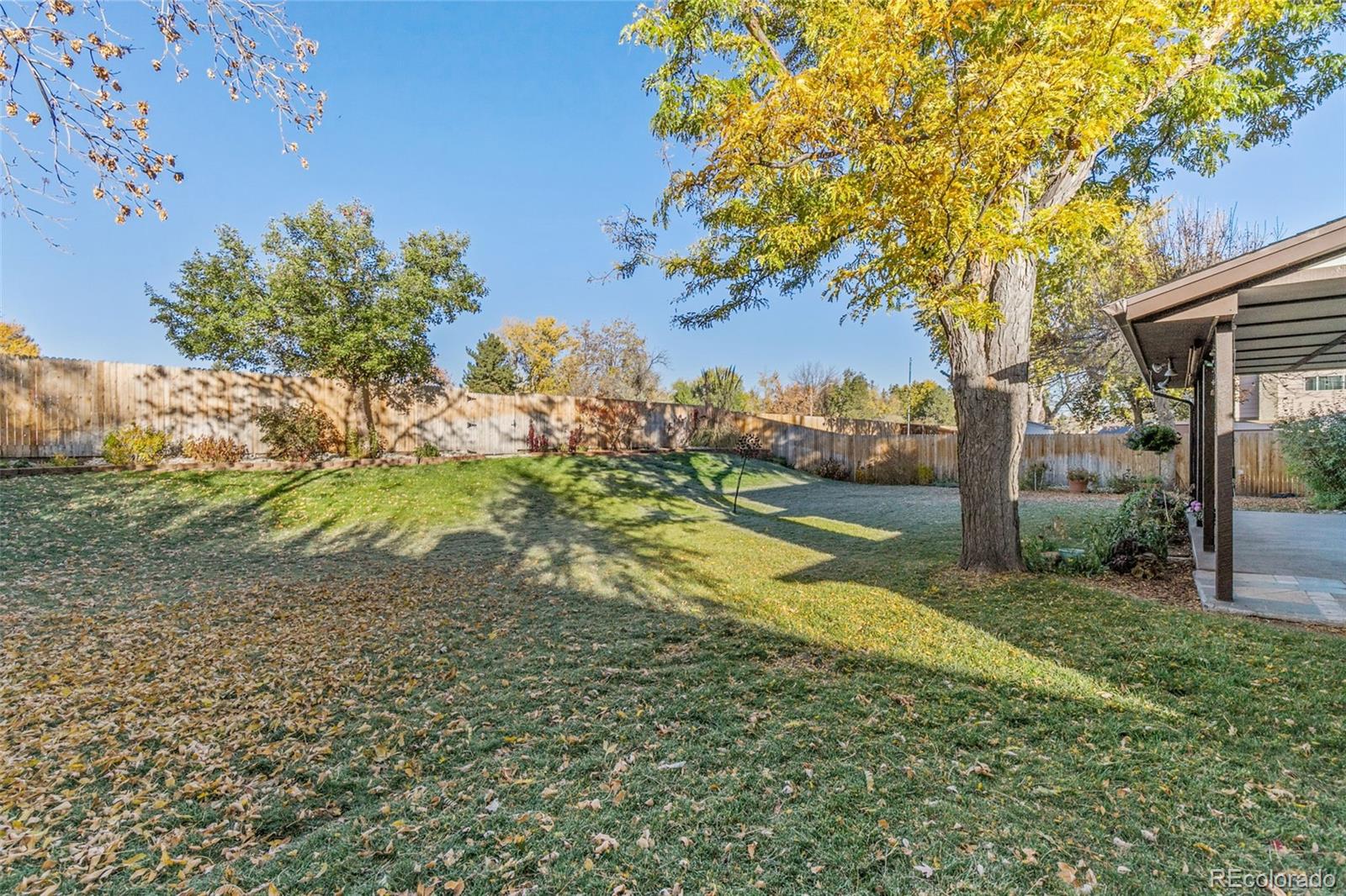 MLS Image #25 for 6827  vivian street,arvada, Colorado