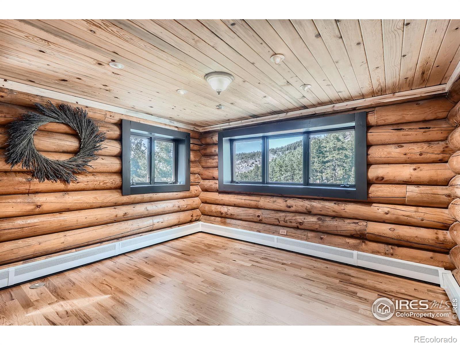 MLS Image #12 for 11953 s maxwell hill road,littleton, Colorado