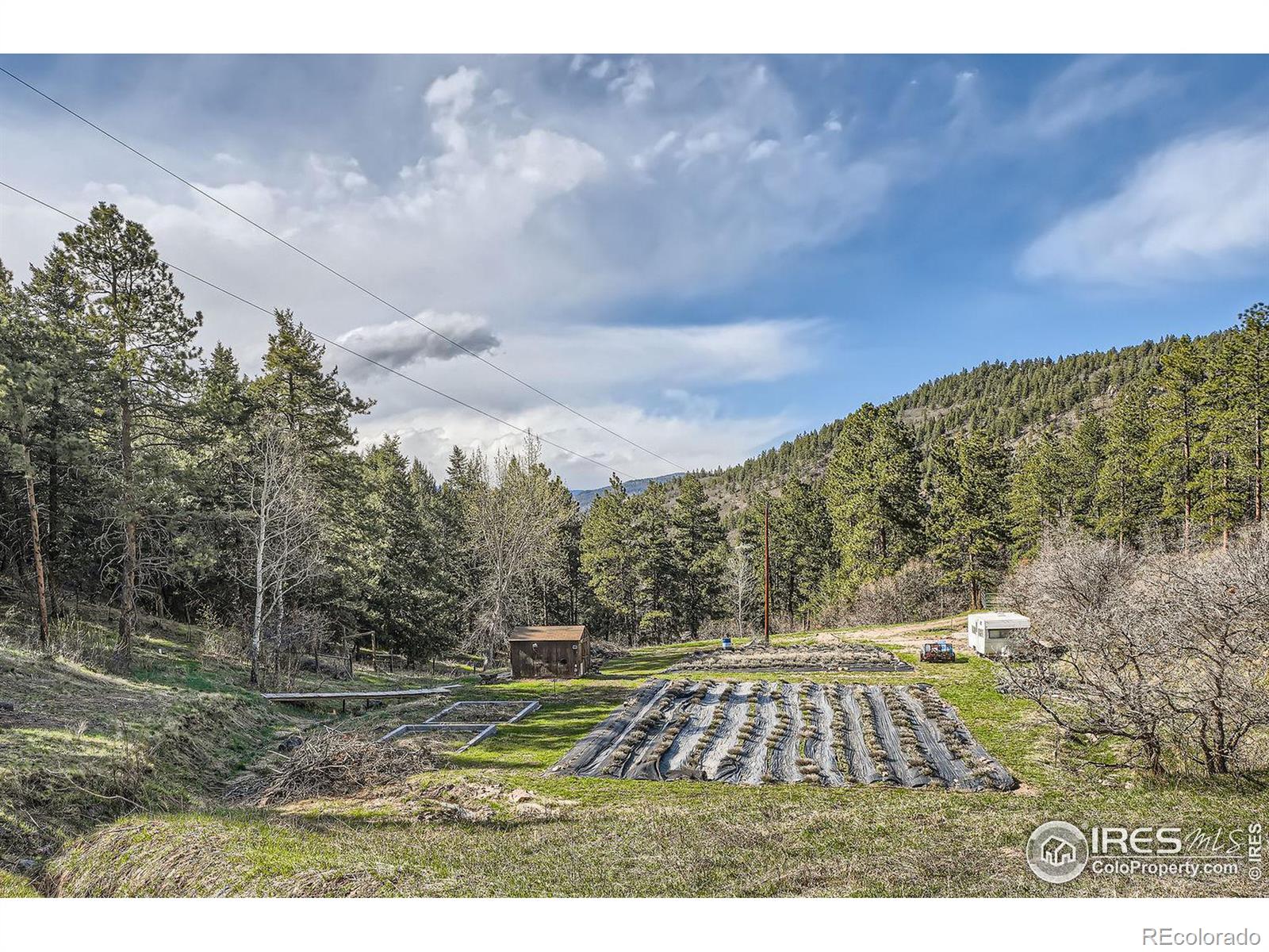 MLS Image #17 for 11953 s maxwell hill road,littleton, Colorado