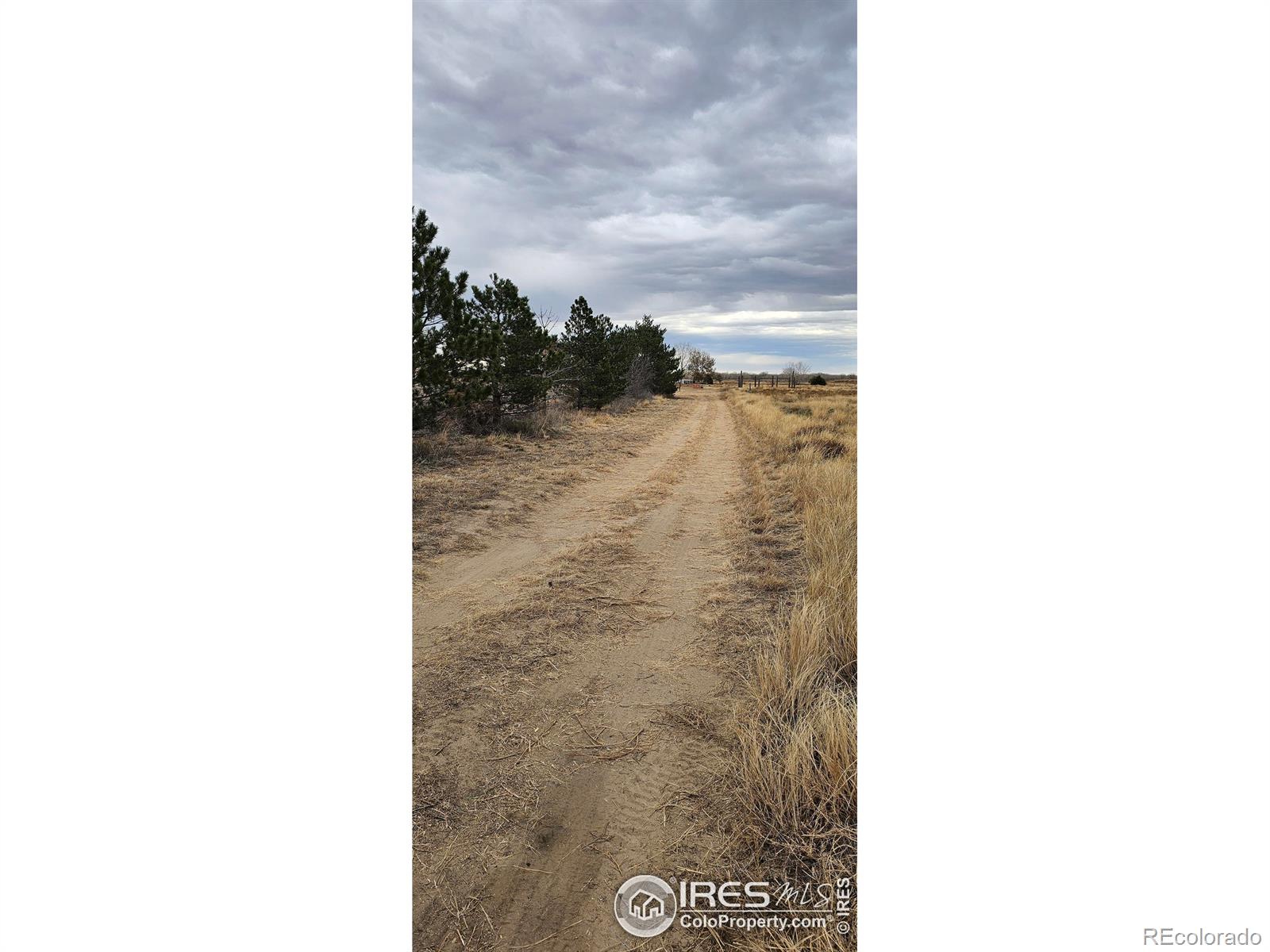 MLS Image #31 for 18542  county road 8 ,wiggins, Colorado