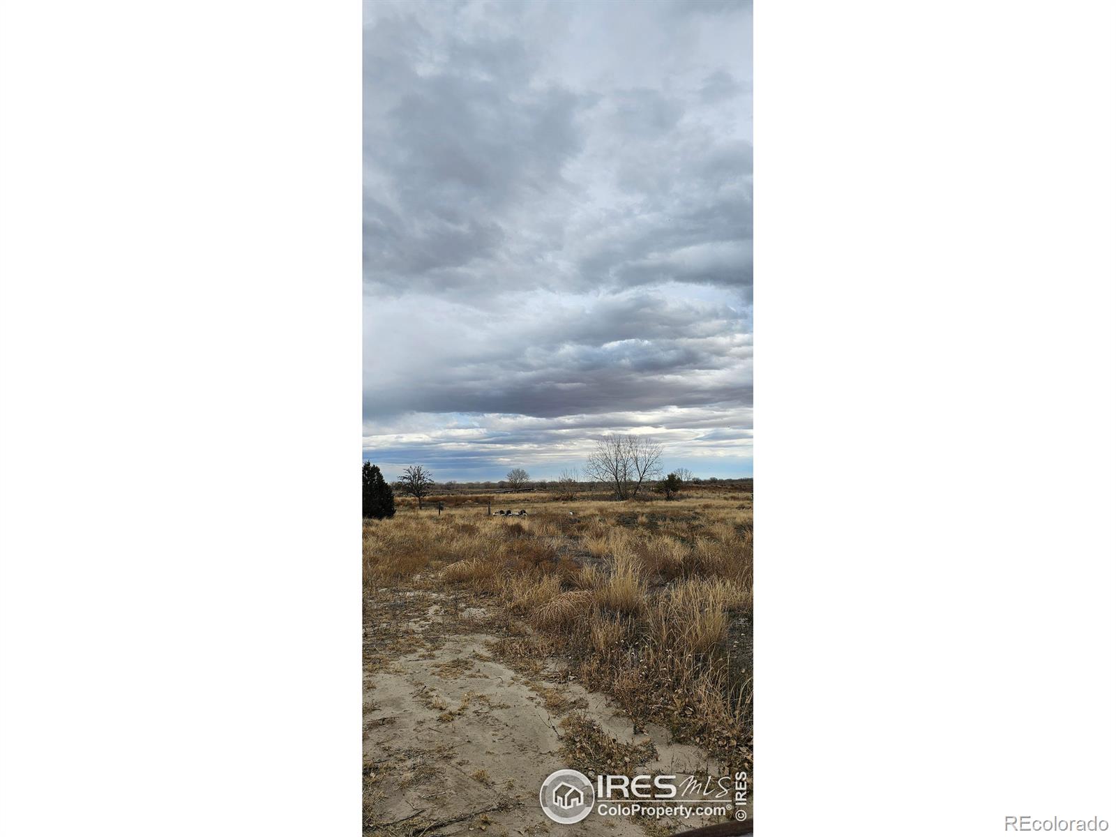 MLS Image #32 for 18542  county road 8 ,wiggins, Colorado