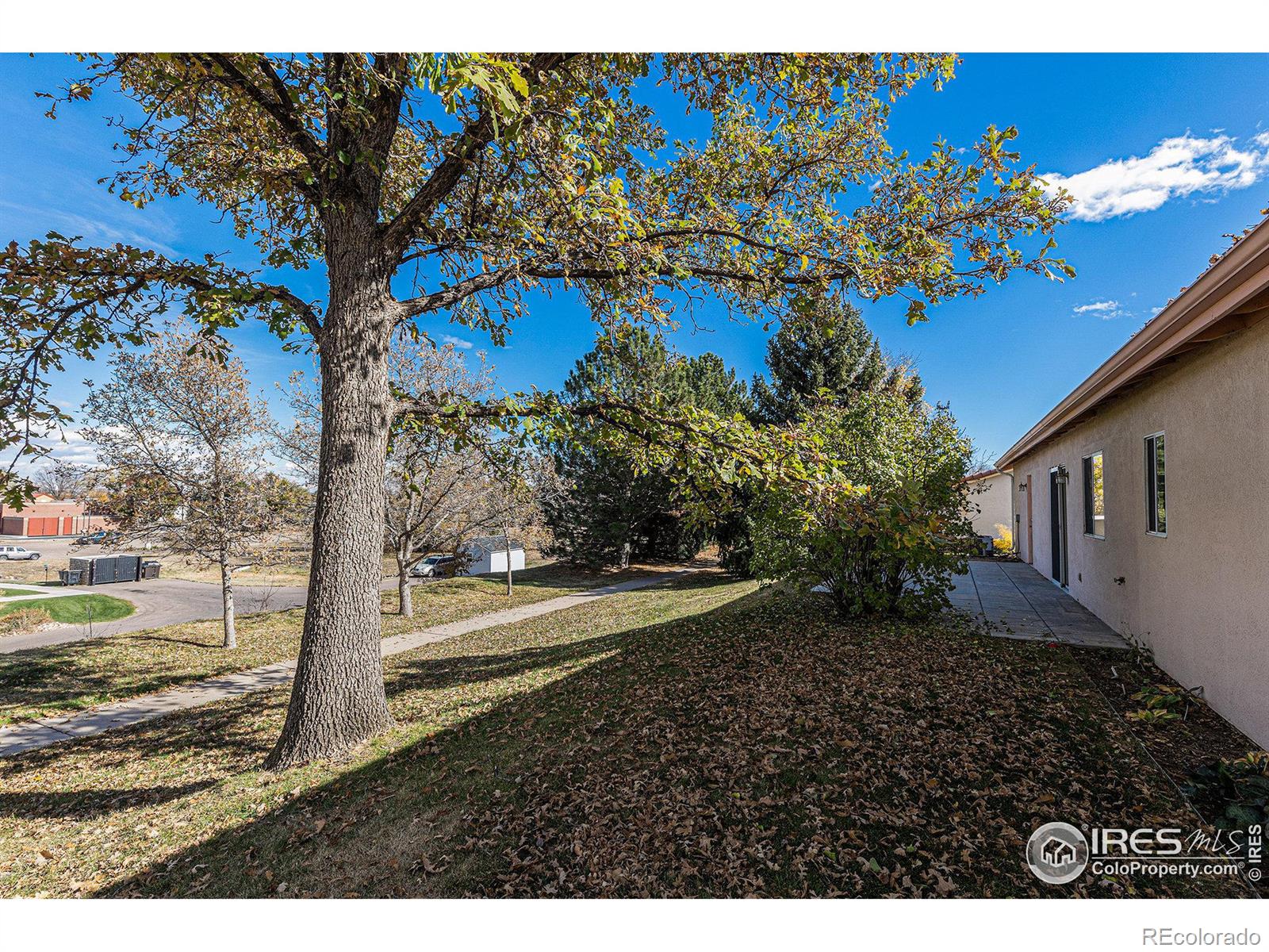 MLS Image #20 for 1200  43rd avenue,greeley, Colorado