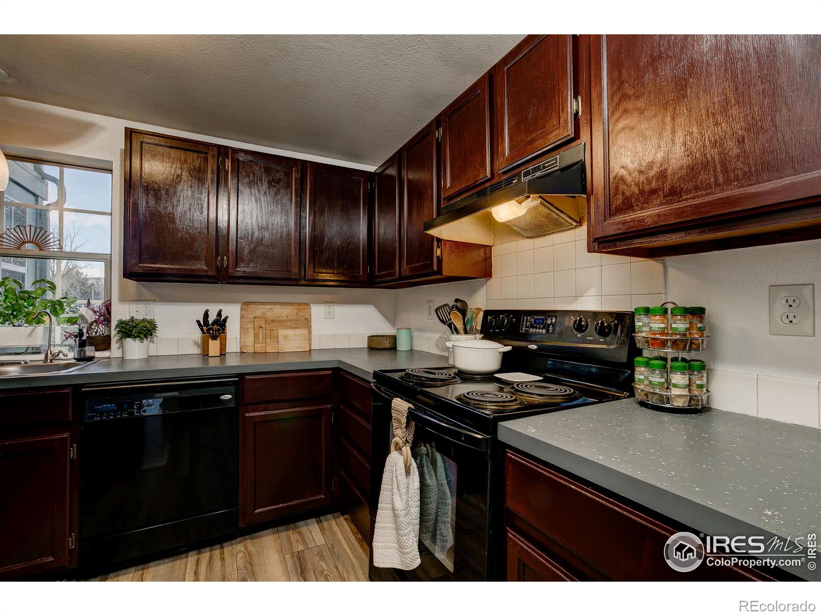 MLS Image #5 for 2828  silverplume drive,fort collins, Colorado