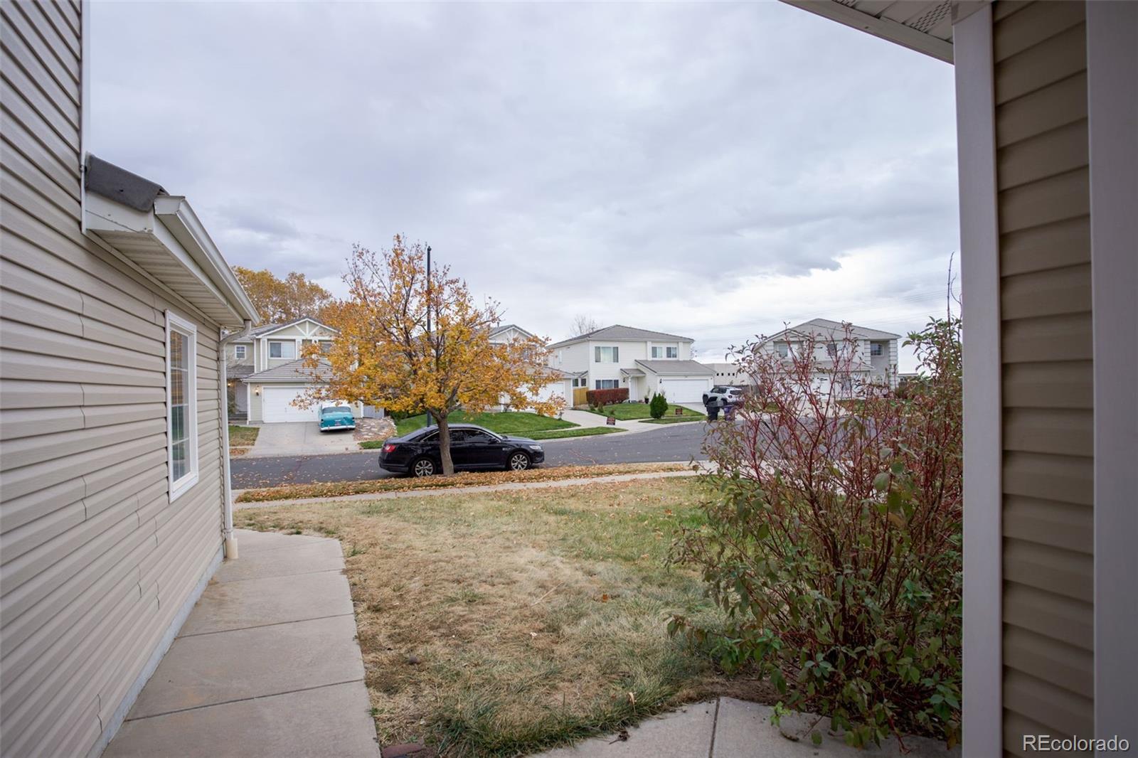 MLS Image #25 for 3935  ireland court,denver, Colorado